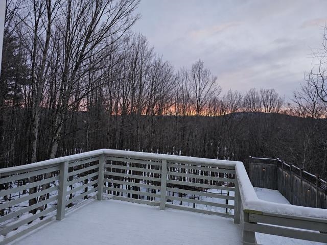 17 Forest Road Property Photo 35