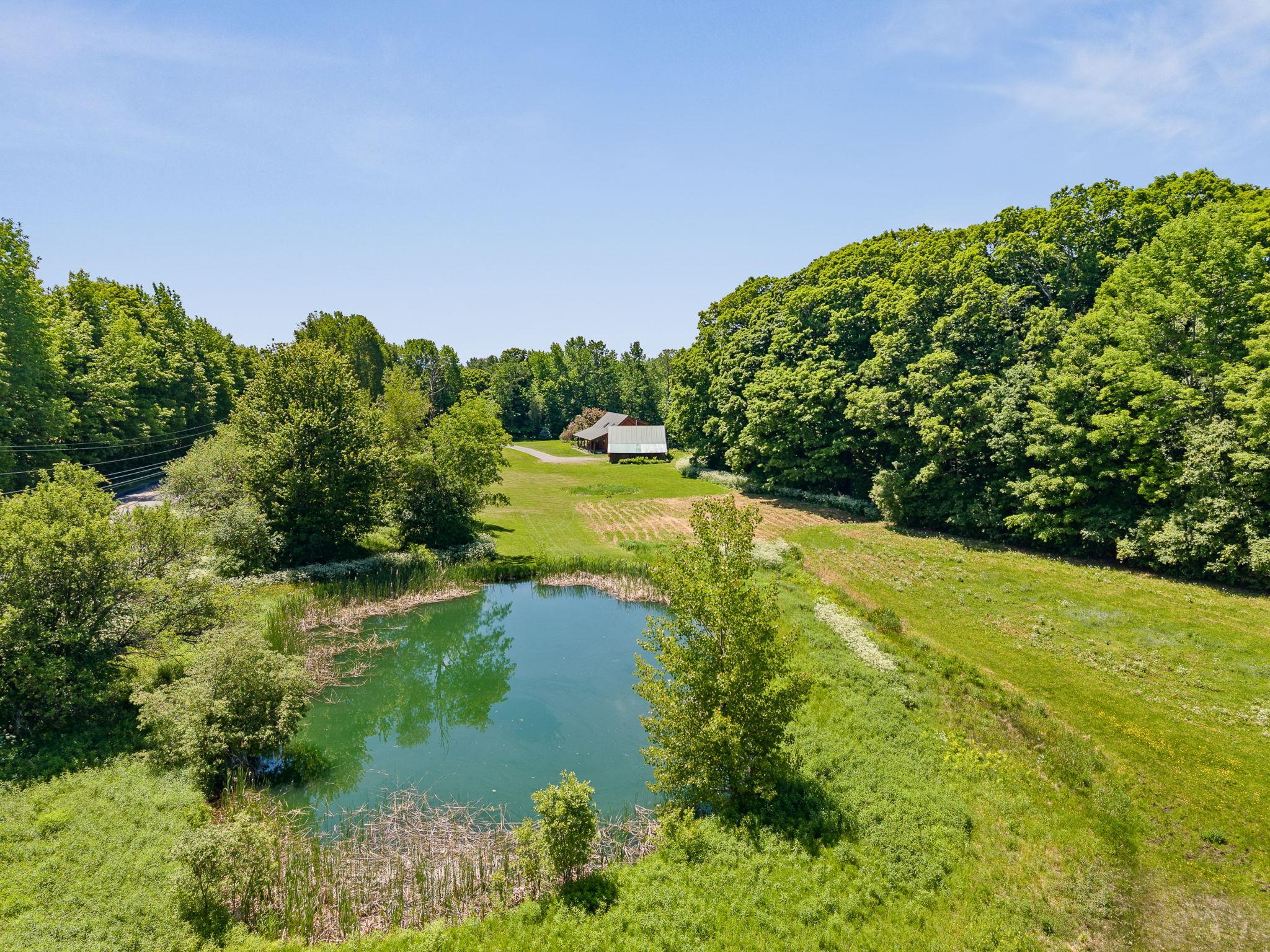 3503 Hebard Hill Road Property Photo 6