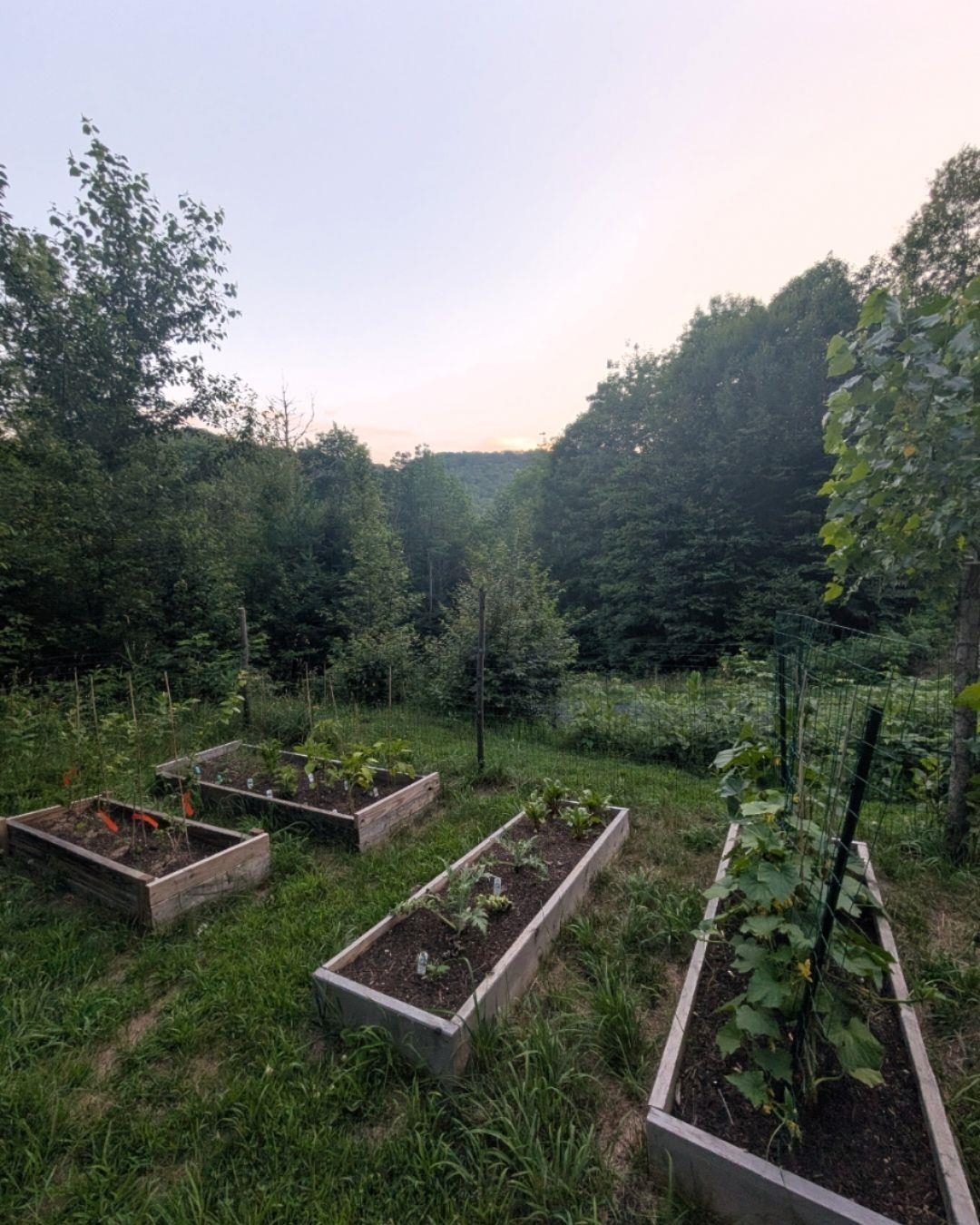 7017 Vt Route 110 Property Photo 31