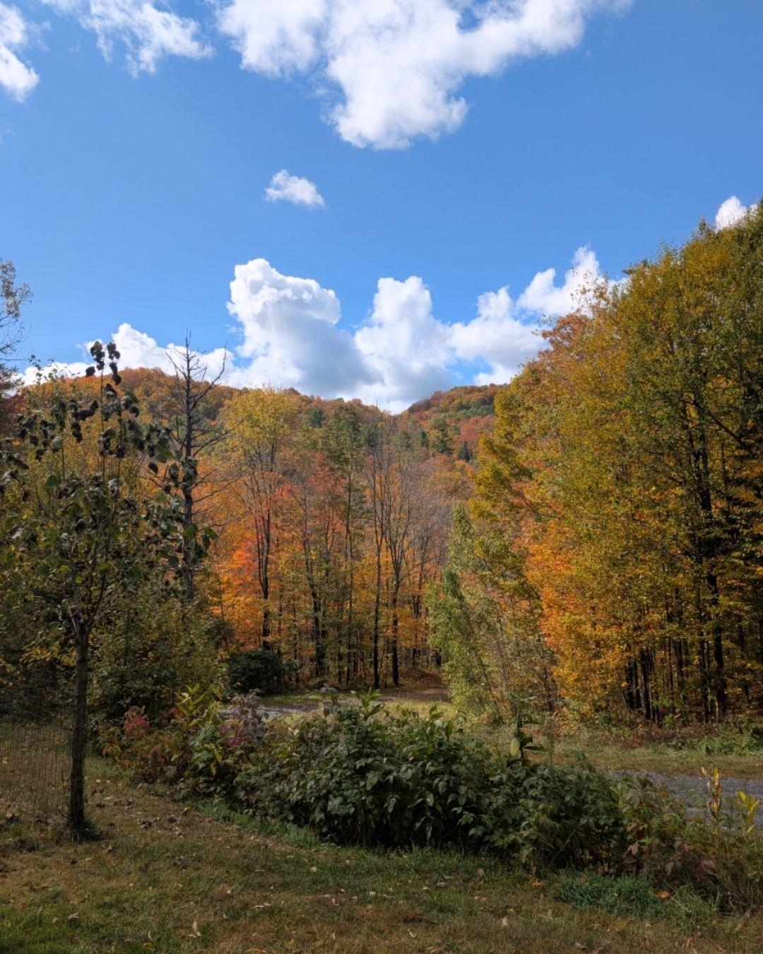 7017 Vt Route 110 Property Photo 34