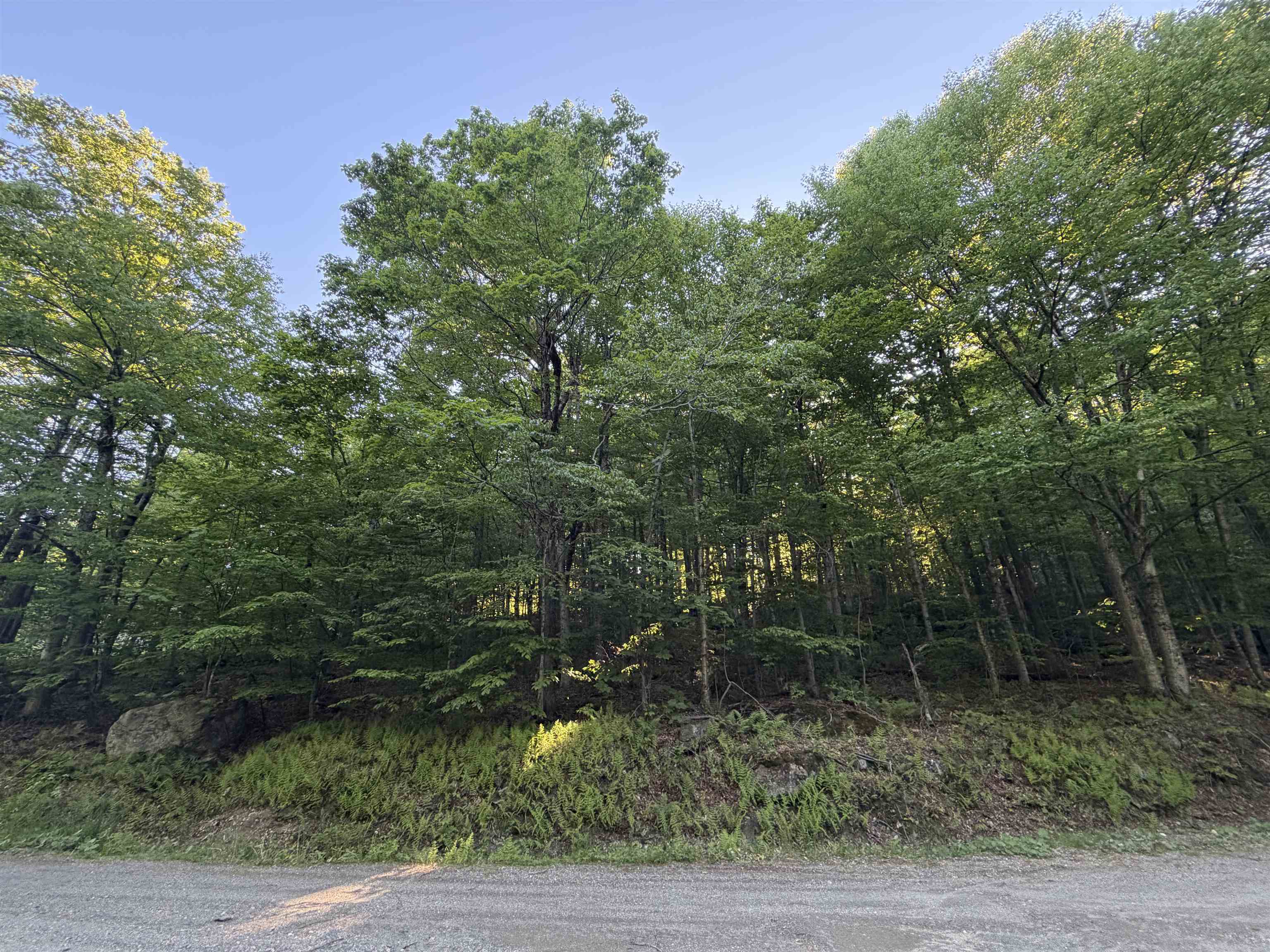 Scattered Timber Road Property Photo 1