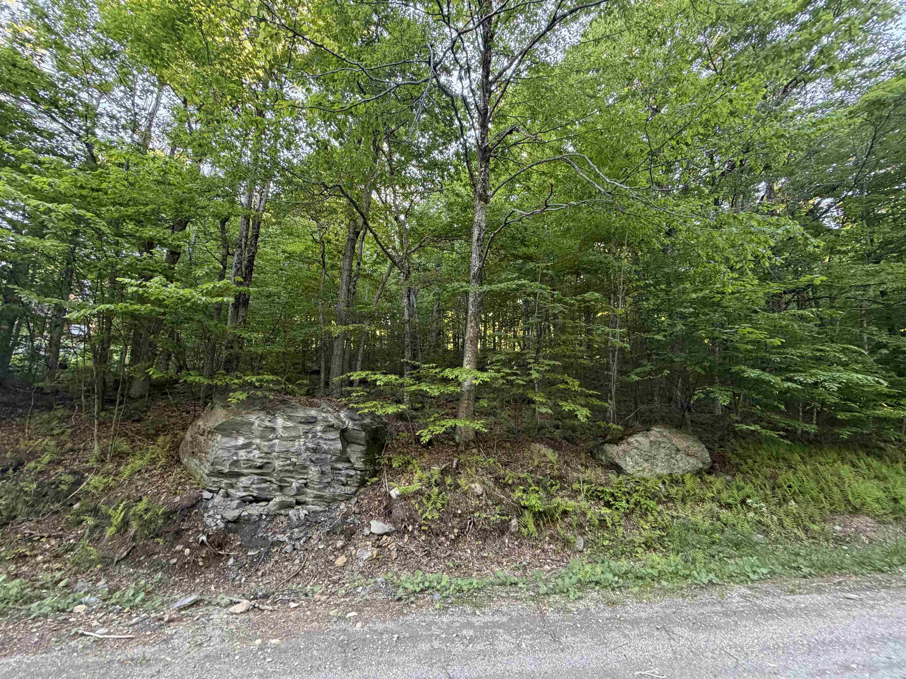 Scattered Timber Road Property Photo 2