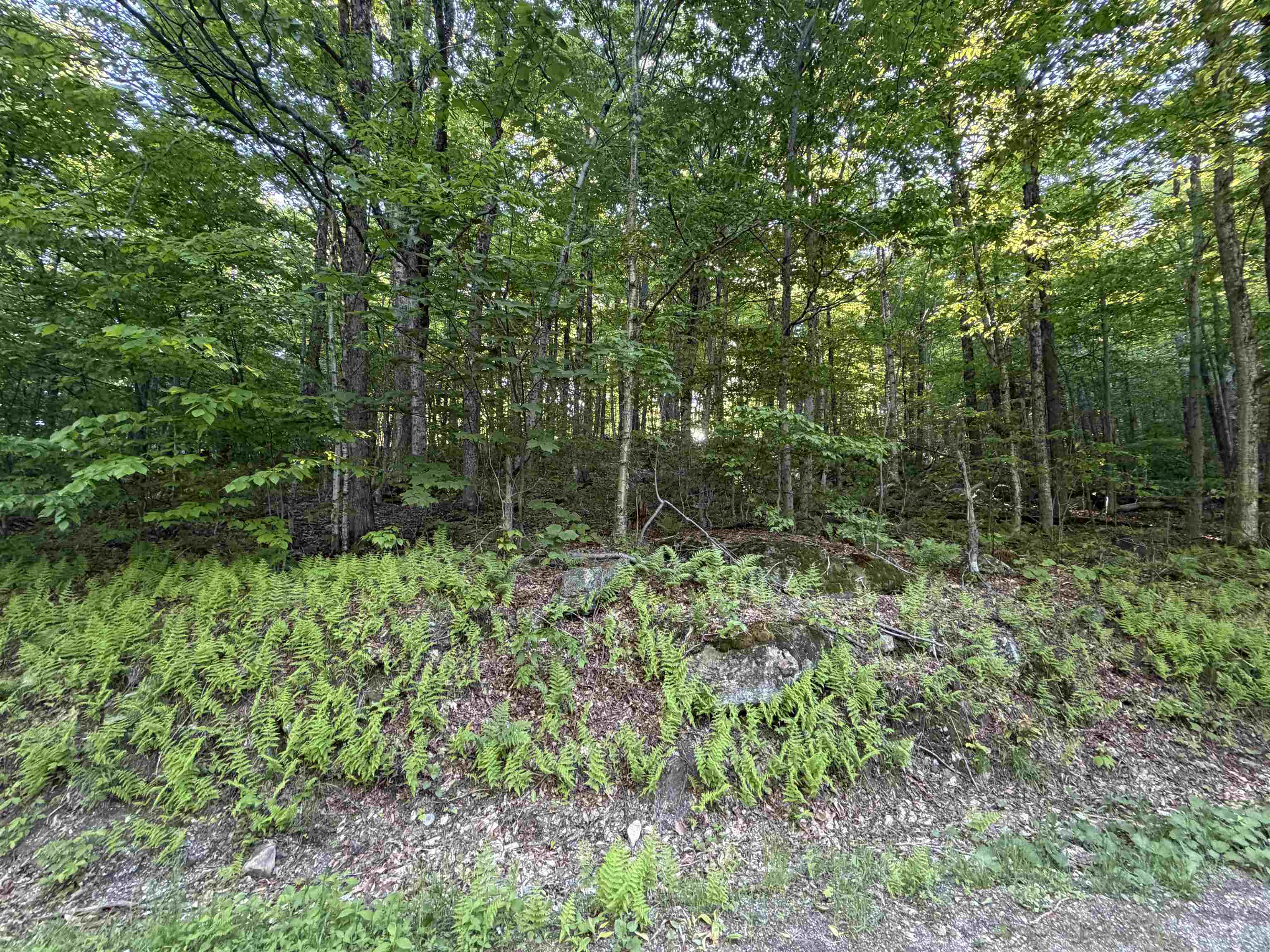 Scattered Timber Road Property Photo 3