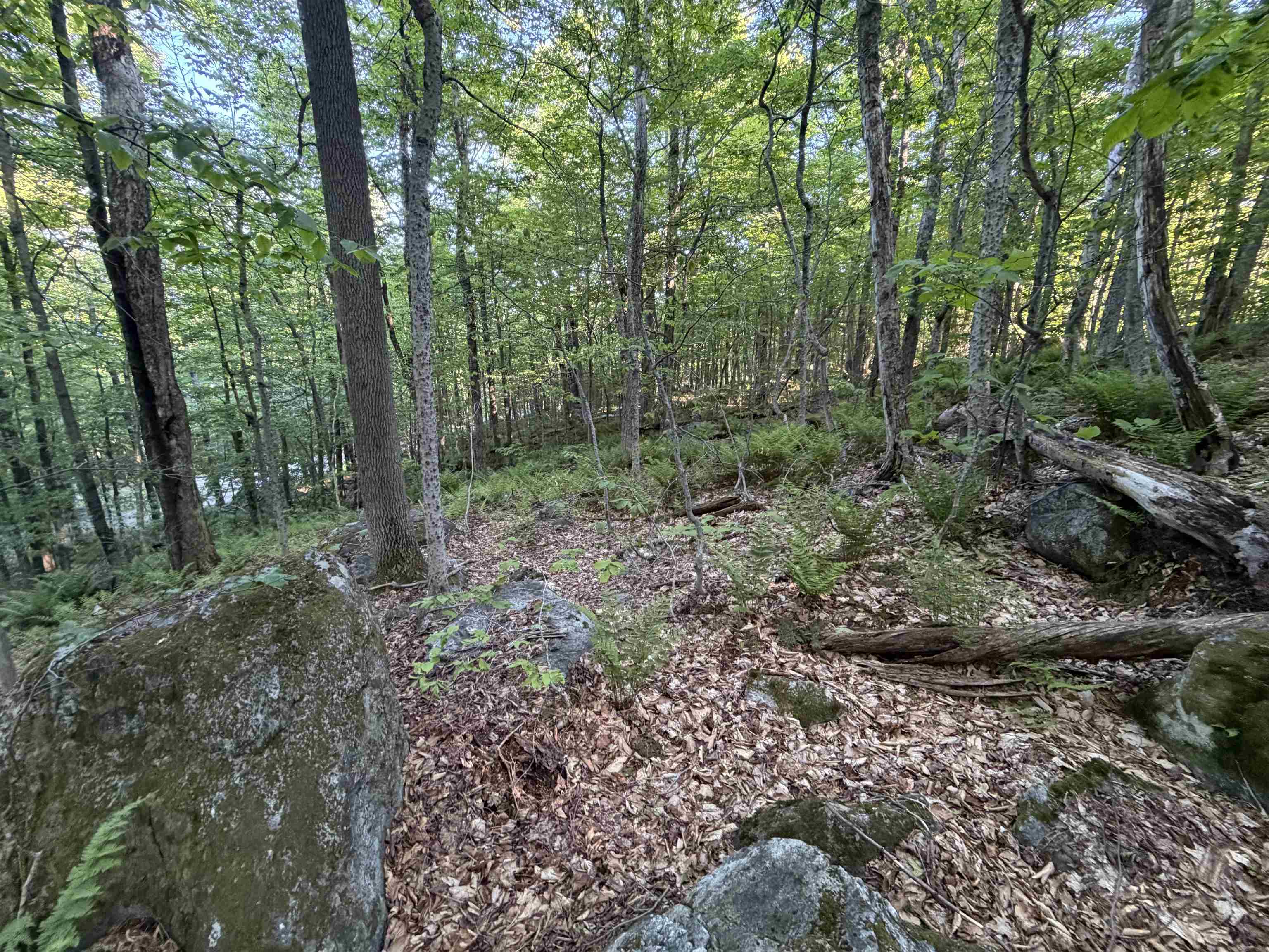 Scattered Timber Road Property Photo 8