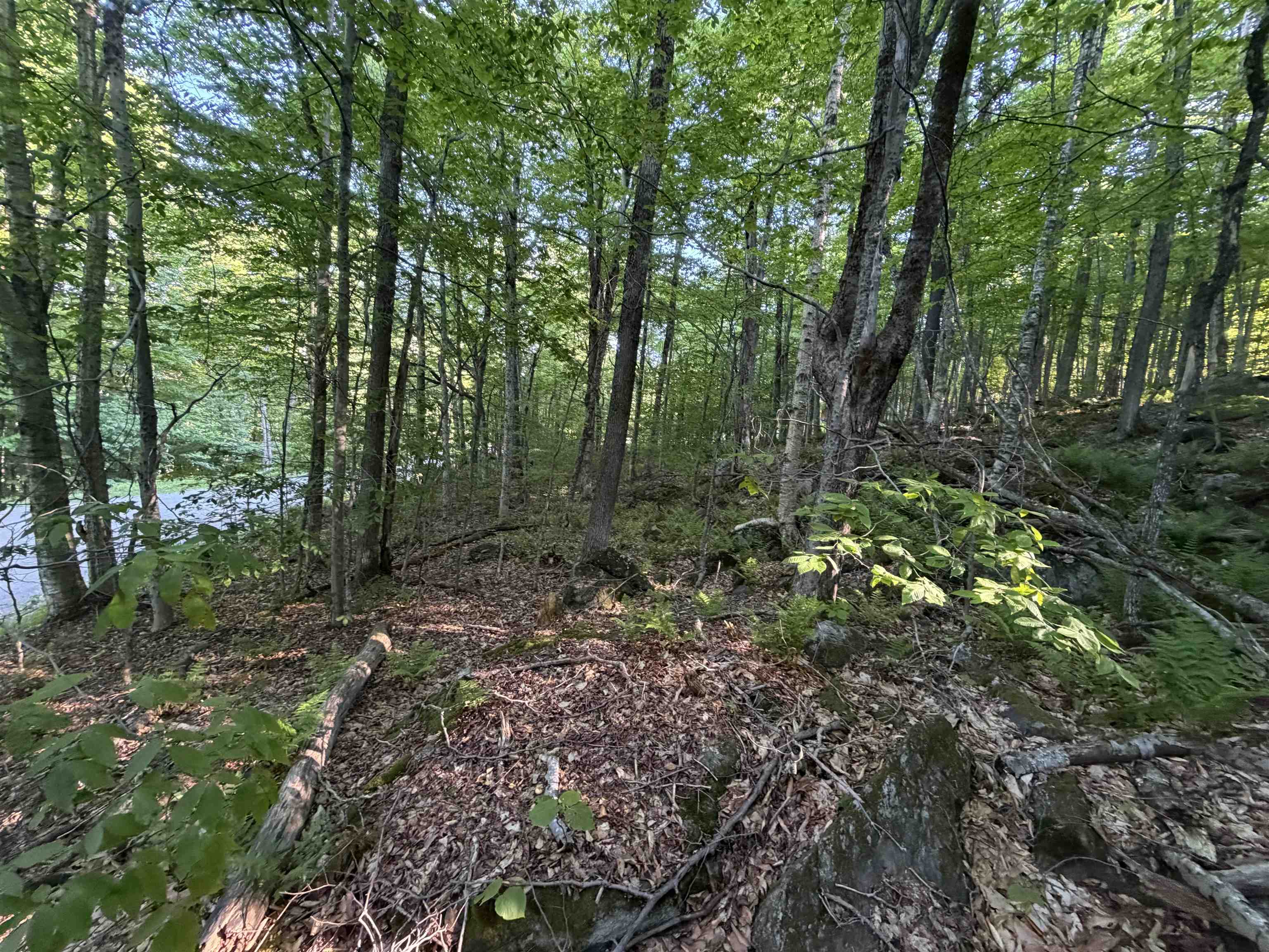 Scattered Timber Road Property Photo 10