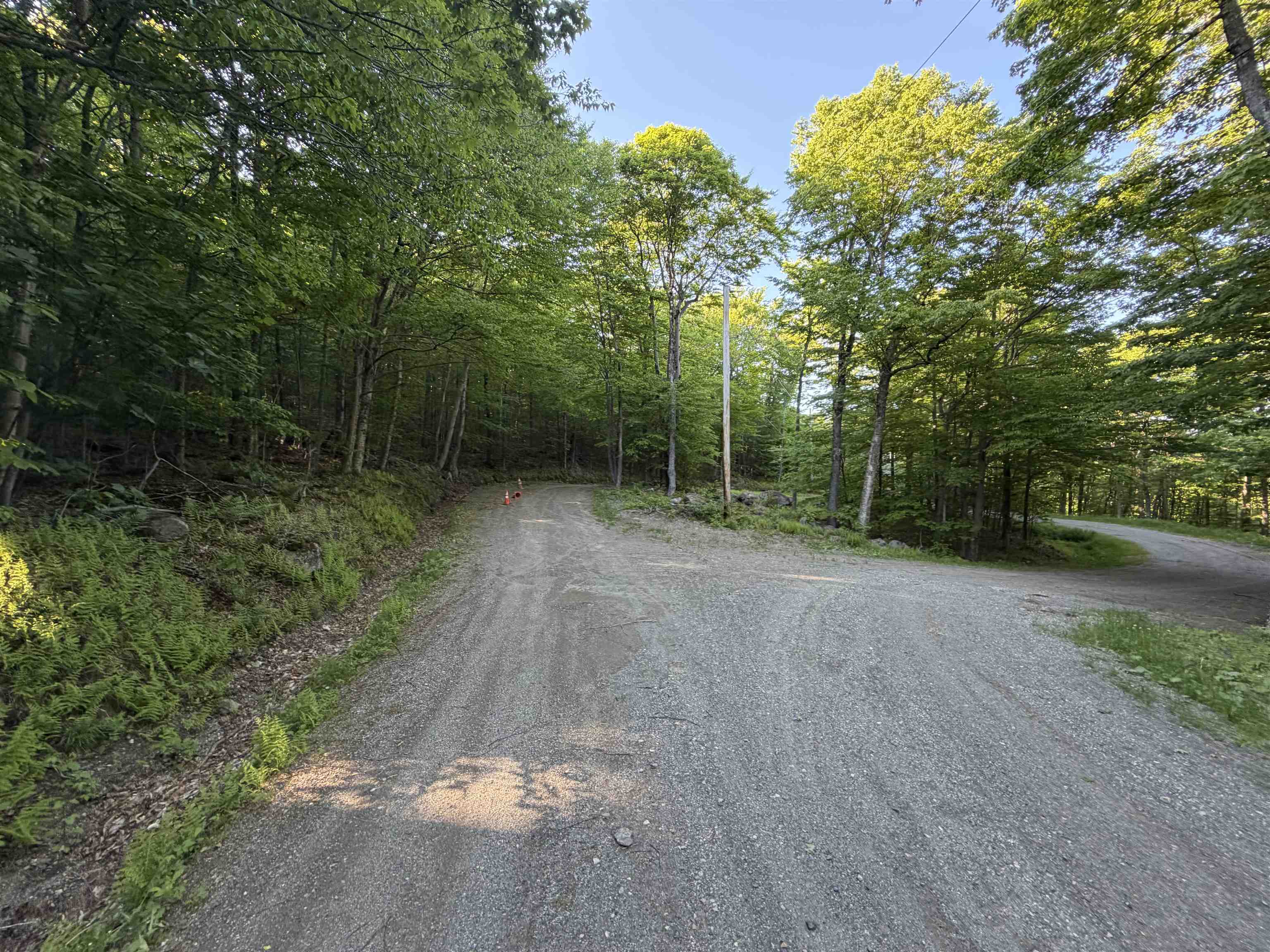 Scattered Timber Road Property Photo 22