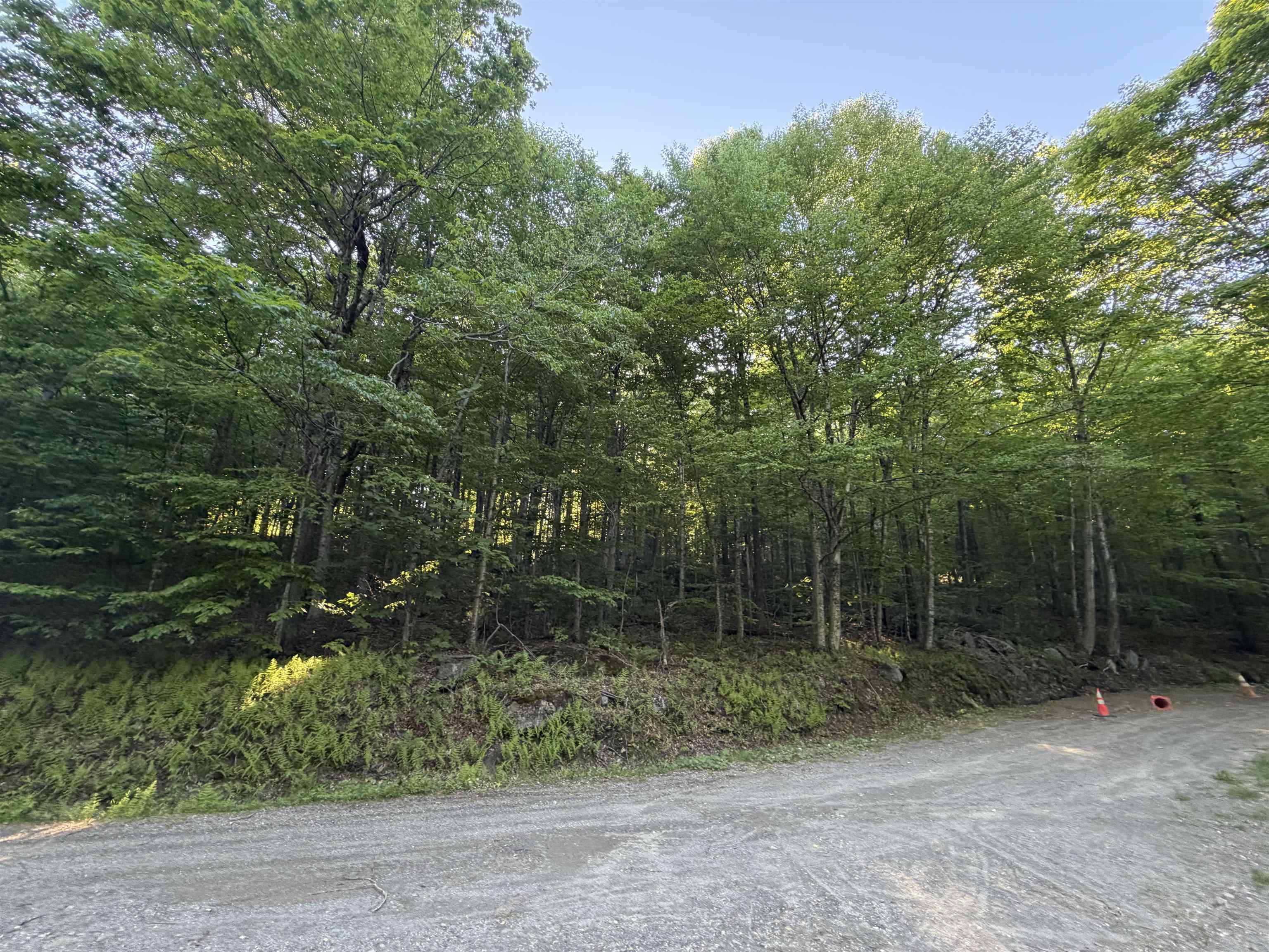 Scattered Timber Road Property Photo 23