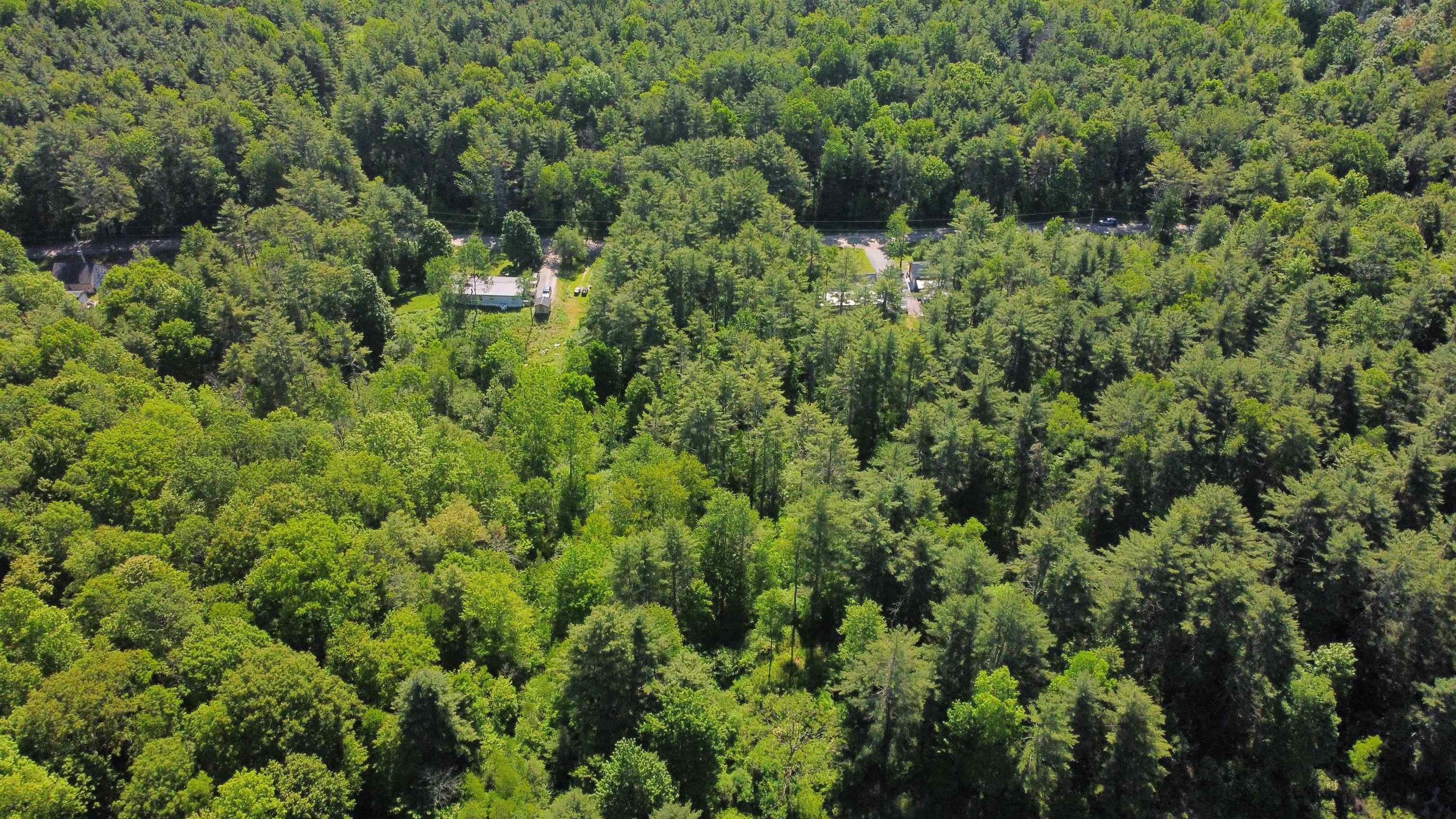 00 Bull Frog Hollow Road Property Photo 4