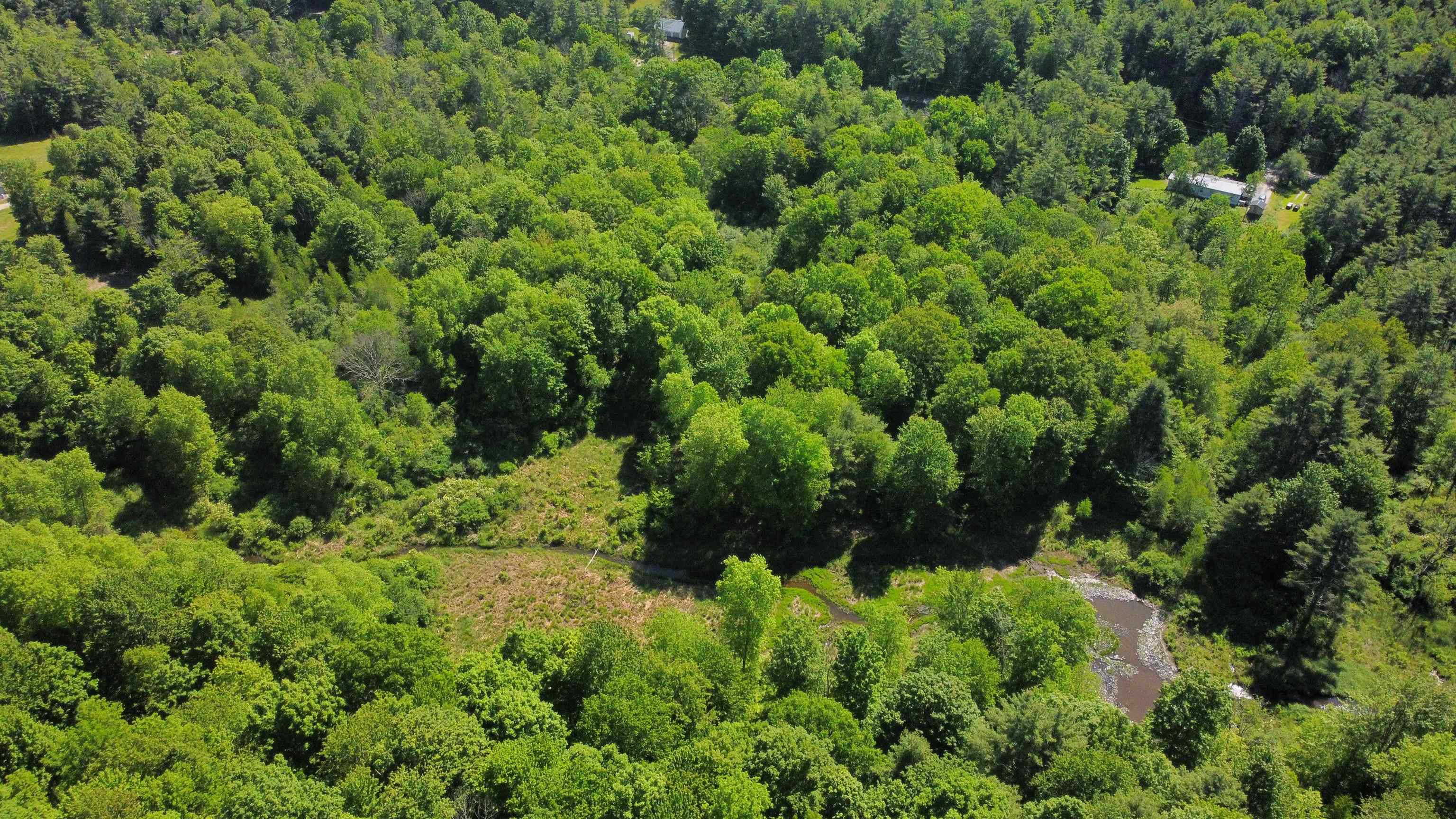 00 Bull Frog Hollow Road Property Photo 13