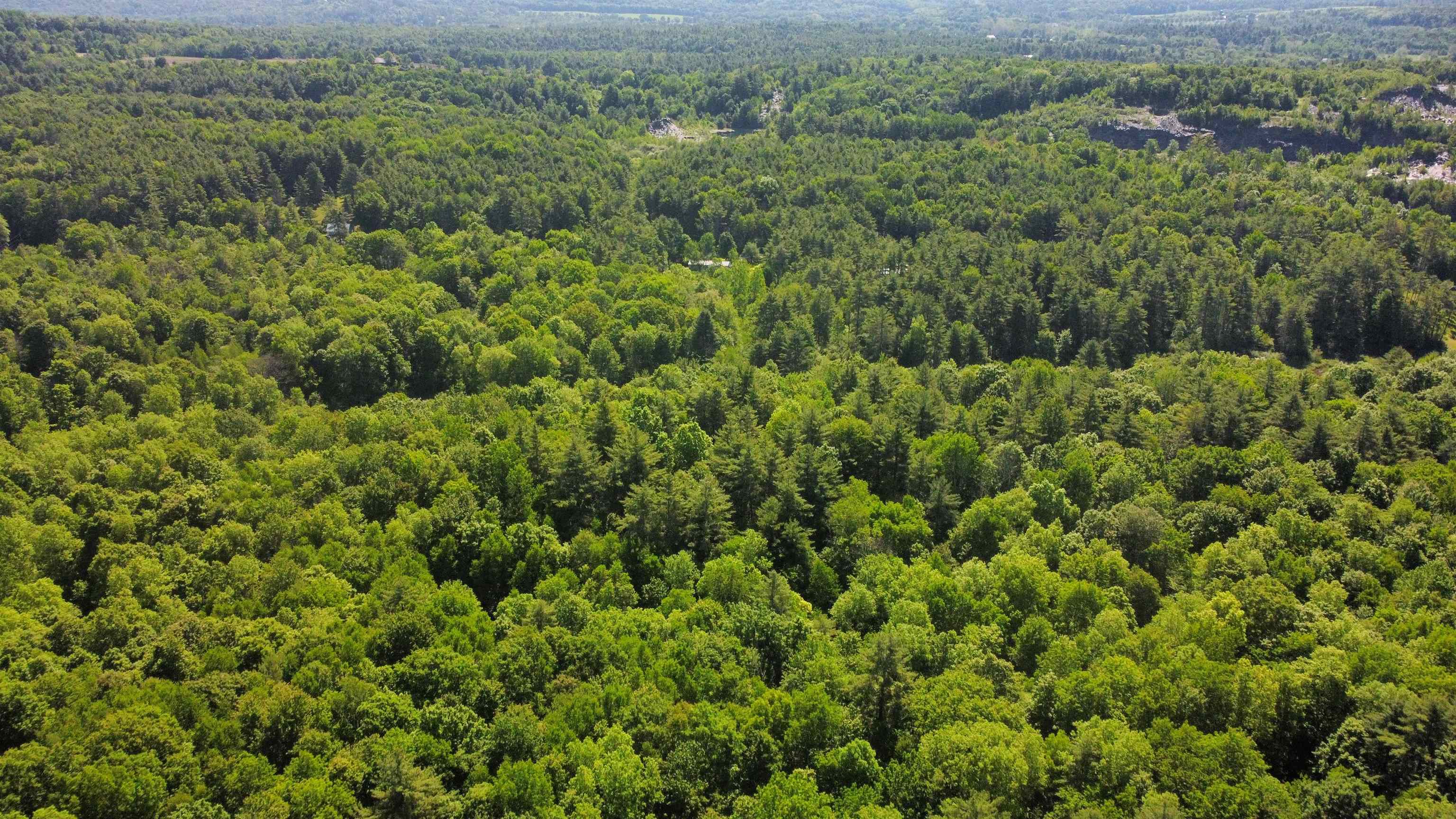 00 Bull Frog Hollow Road Property Photo 15