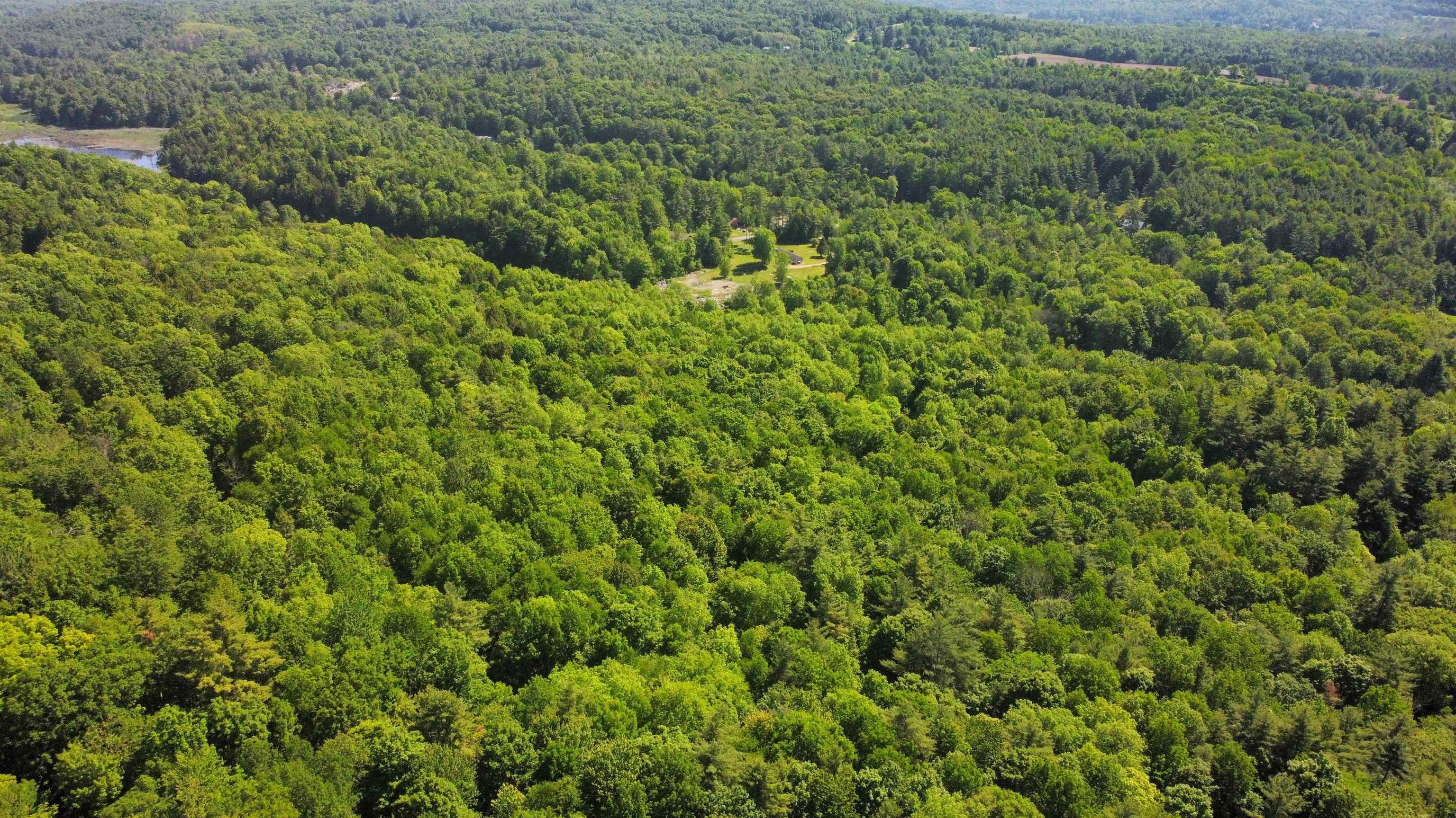 00 Bull Frog Hollow Road Property Photo 16