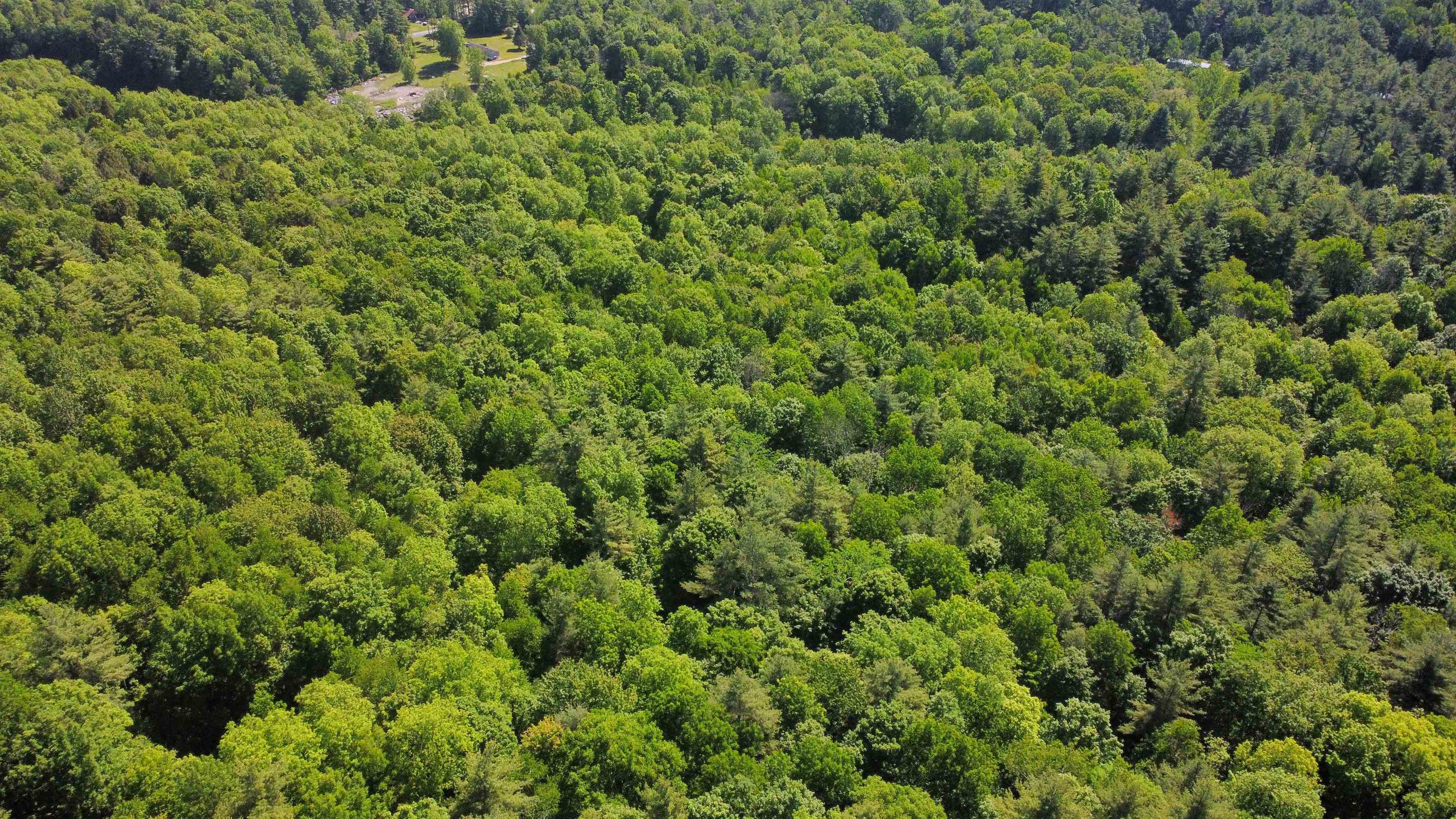 00 Bull Frog Hollow Road Property Photo 17