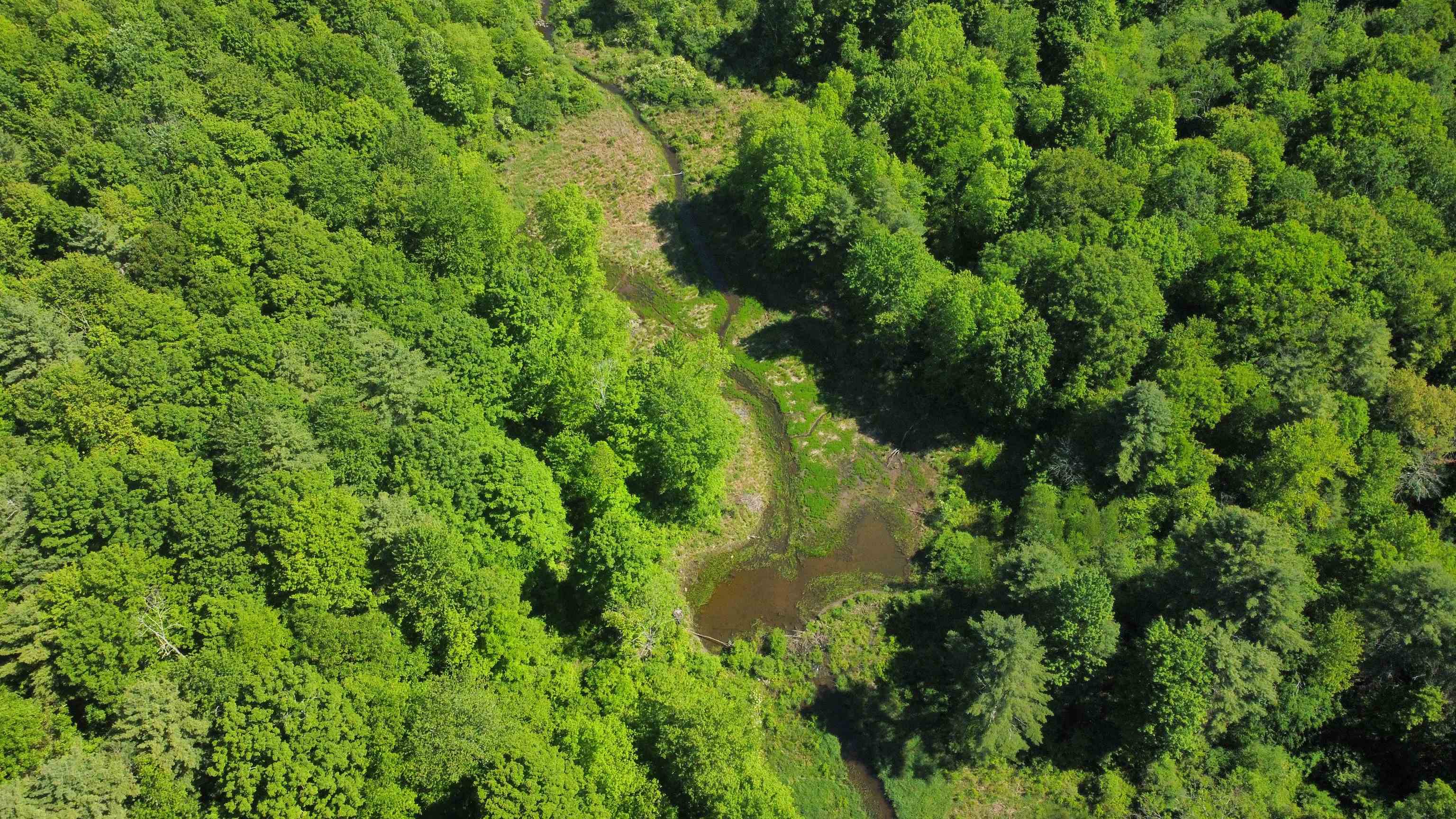 00 Bull Frog Hollow Road Property Photo 19