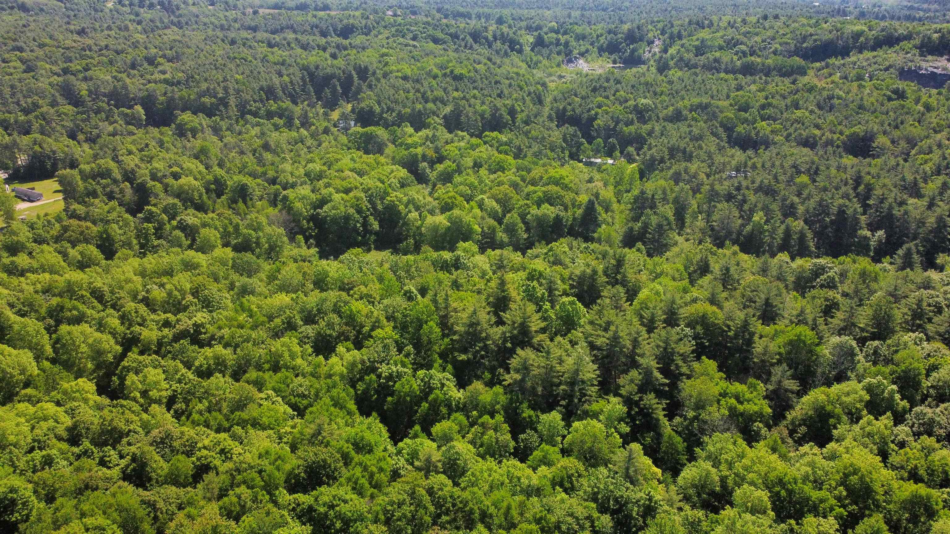 00 Bull Frog Hollow Road Property Photo 20