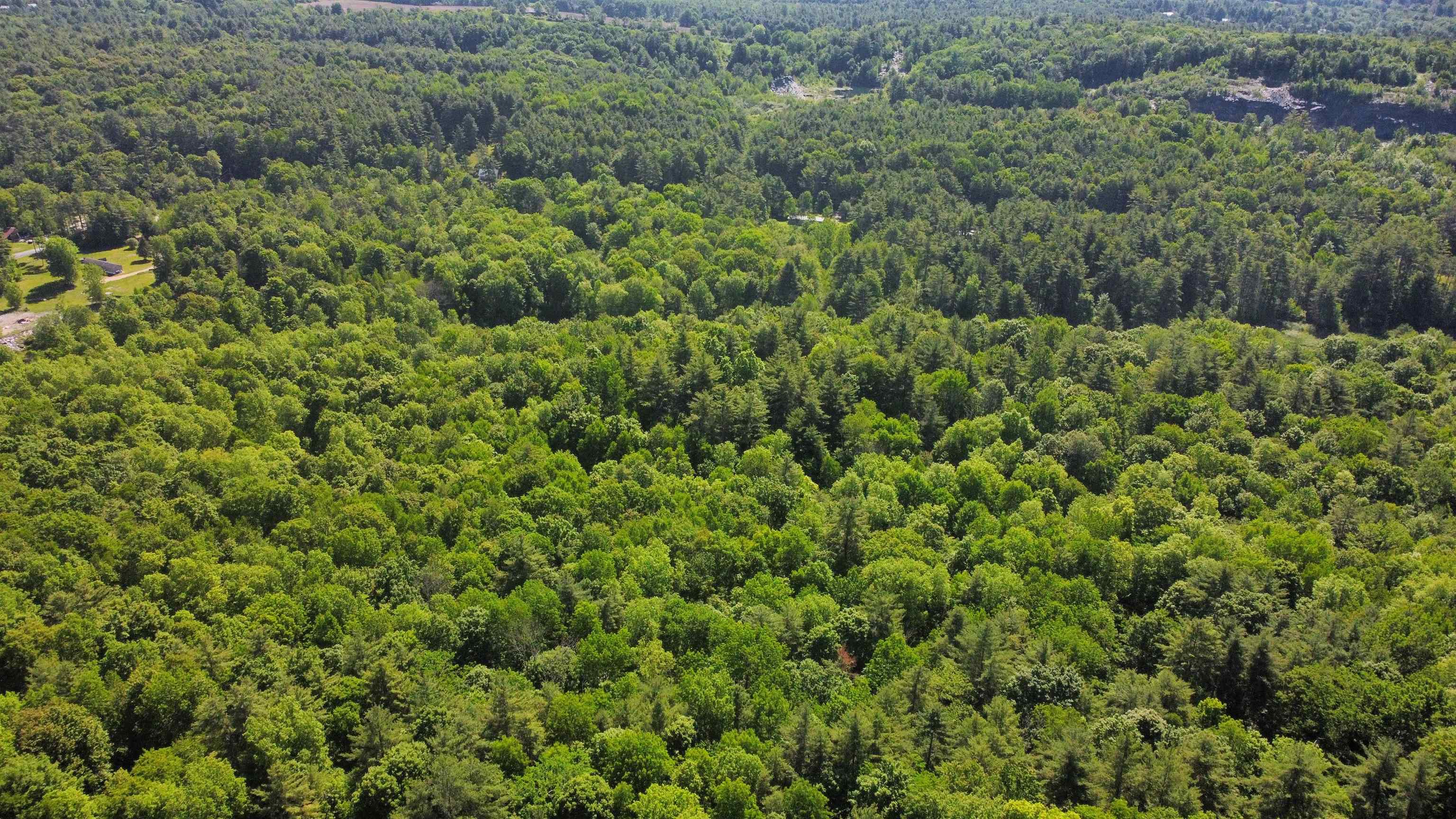 00 Bull Frog Hollow Road Property Photo 21