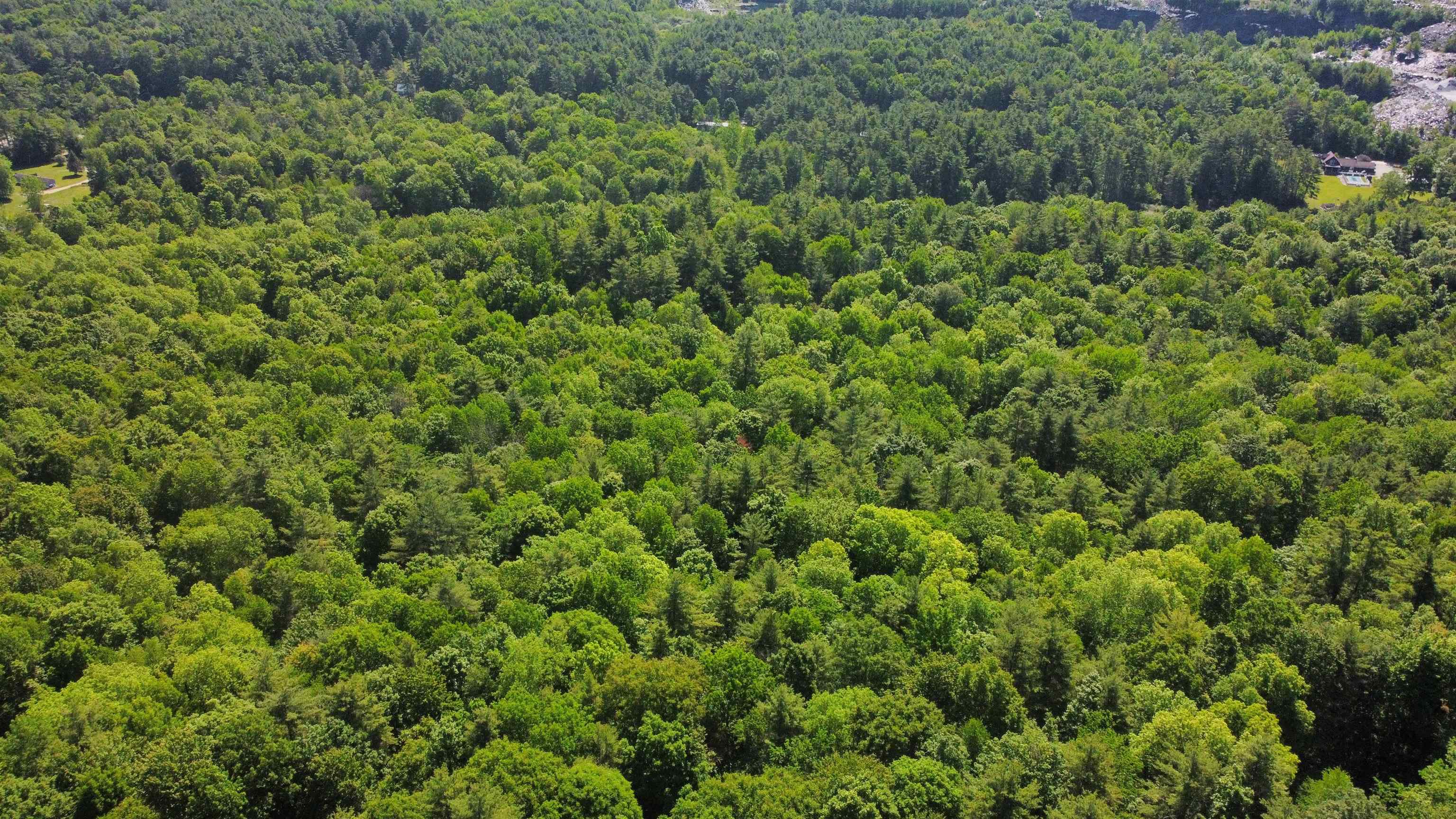 00 Bull Frog Hollow Road Property Photo 22