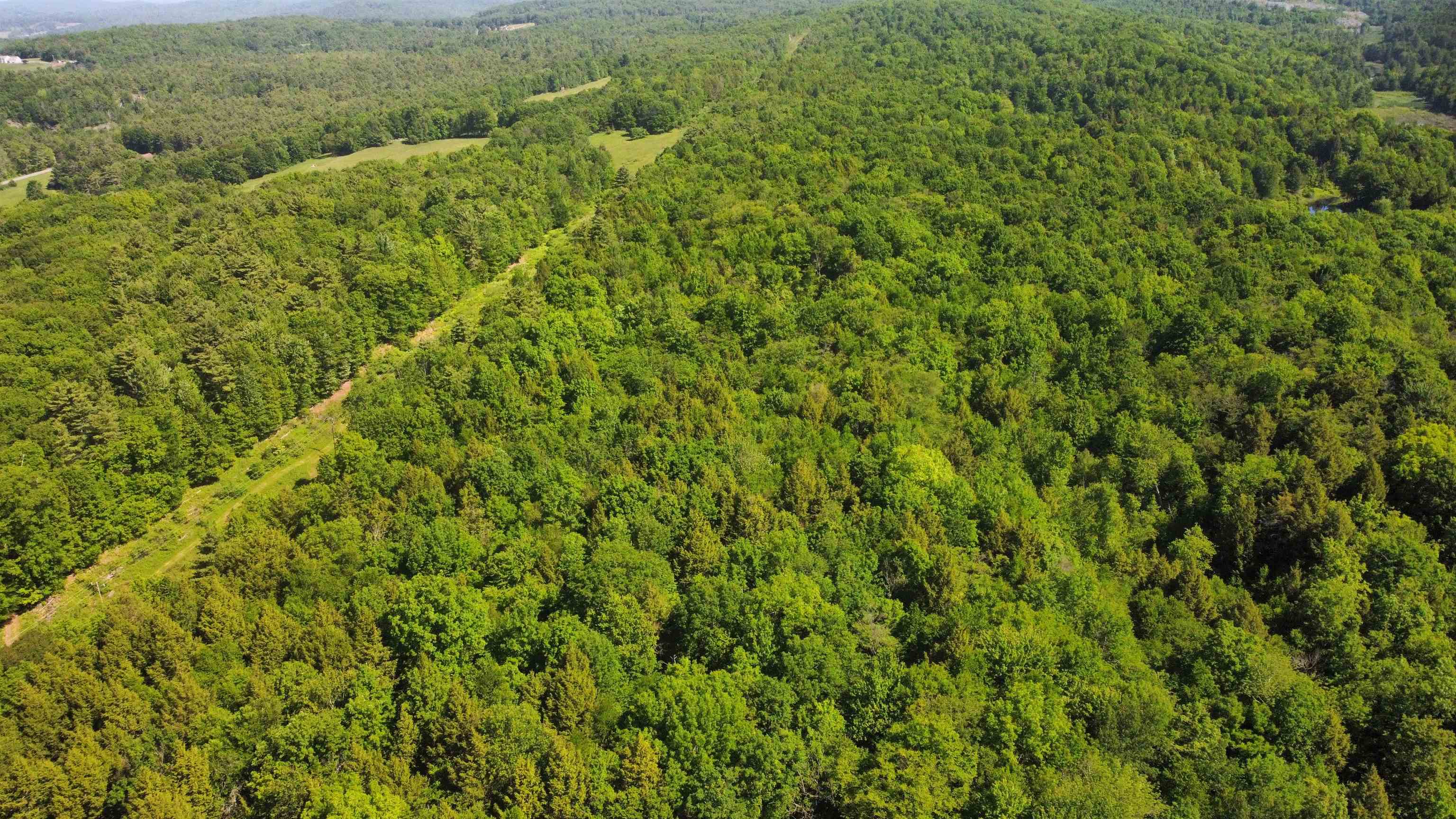 00 Bull Frog Hollow Road Property Photo 24
