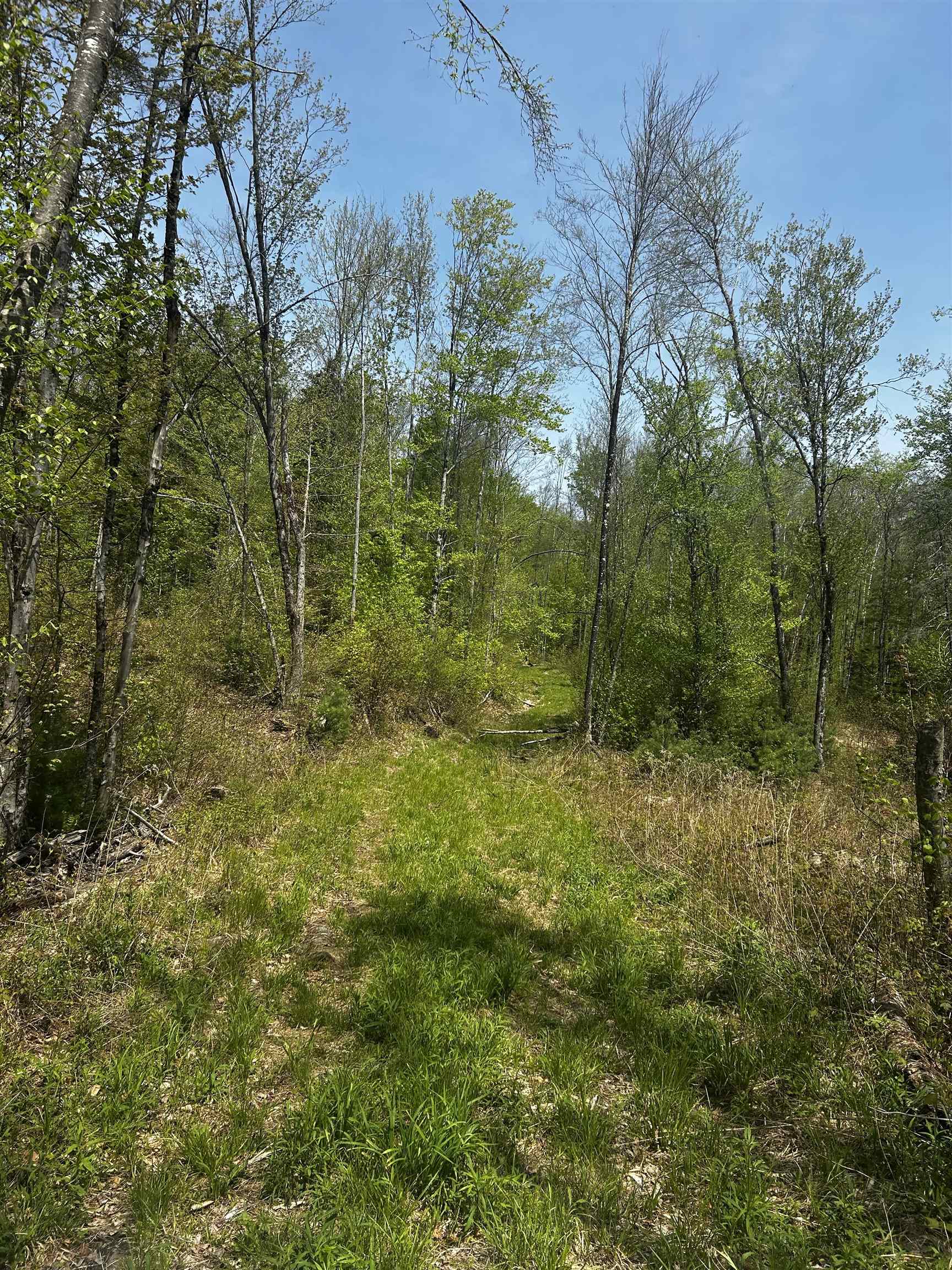 Baine Road Property Photo 3