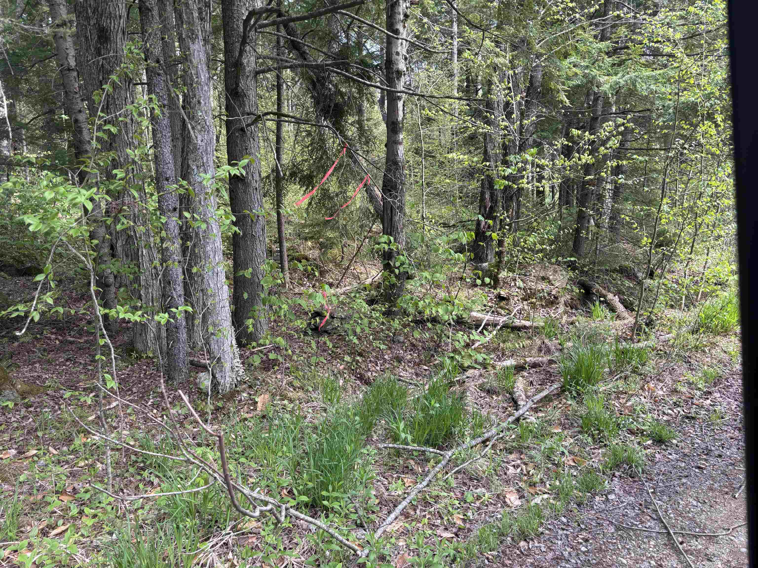 Baine Road Property Photo 4