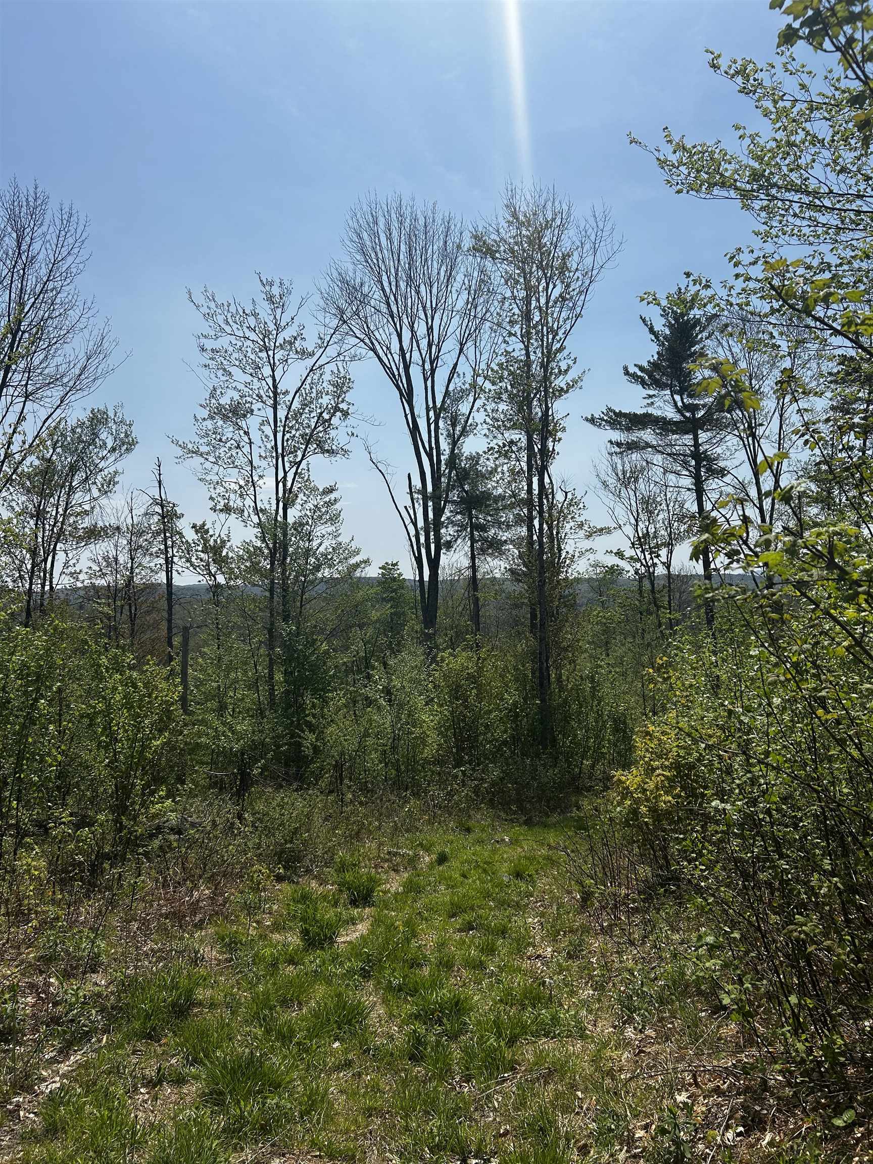 Baine Road Property Photo 6