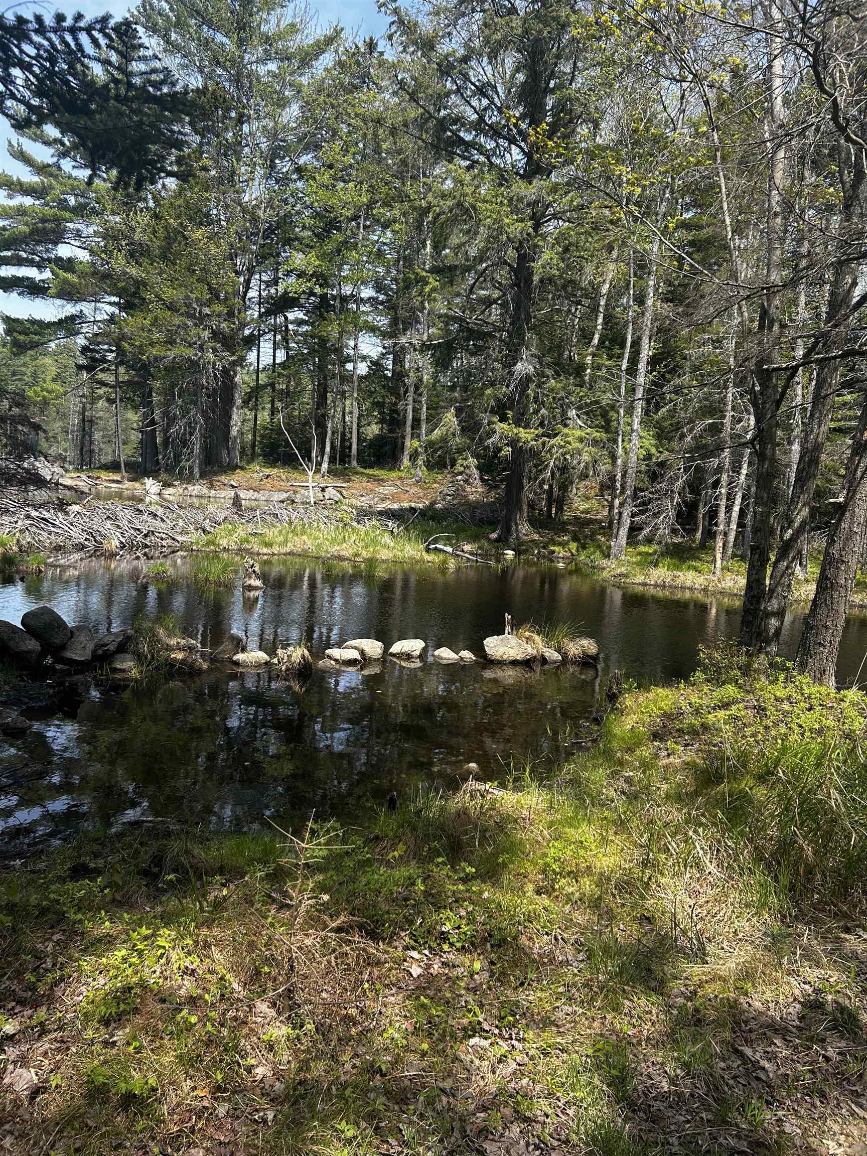 Baine Road Property Photo 8