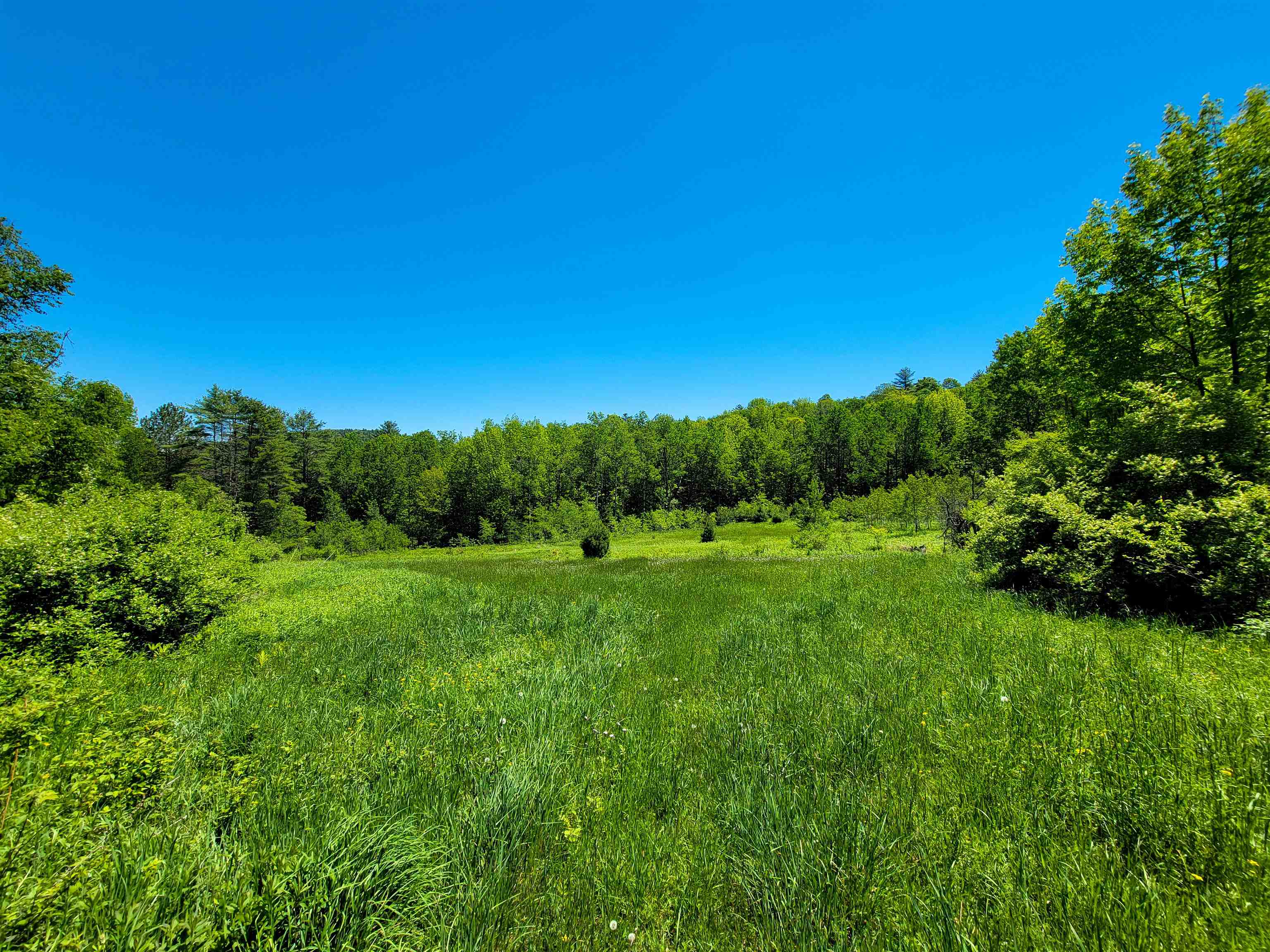 310 Sky Farm Lane Property Photo 32