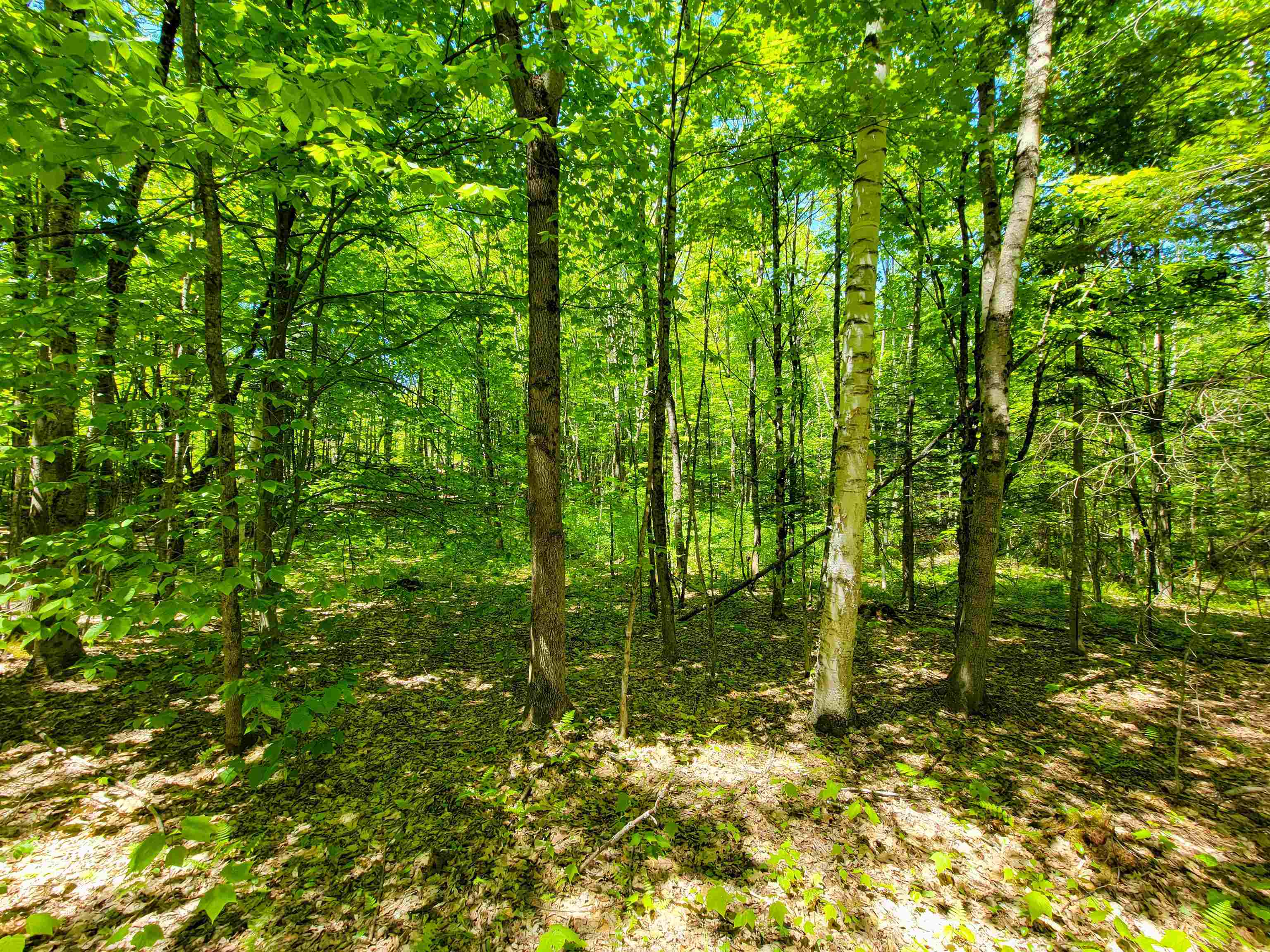 310 Sky Farm Lane Property Photo 40