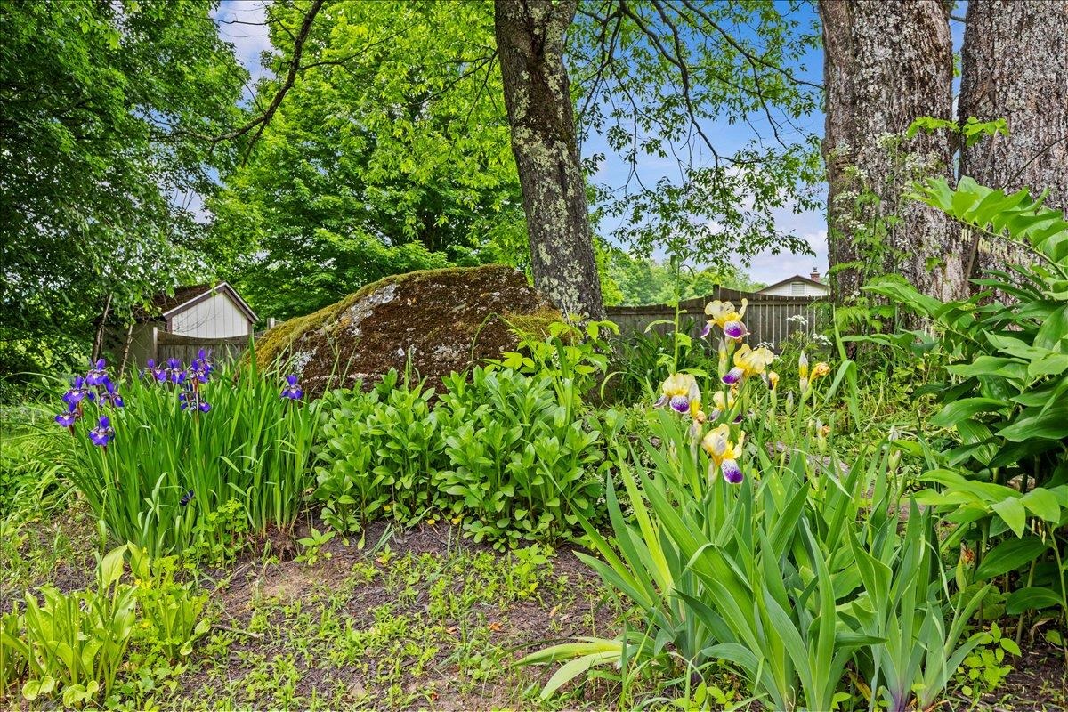 539 Spruce Haven Road Property Photo 8