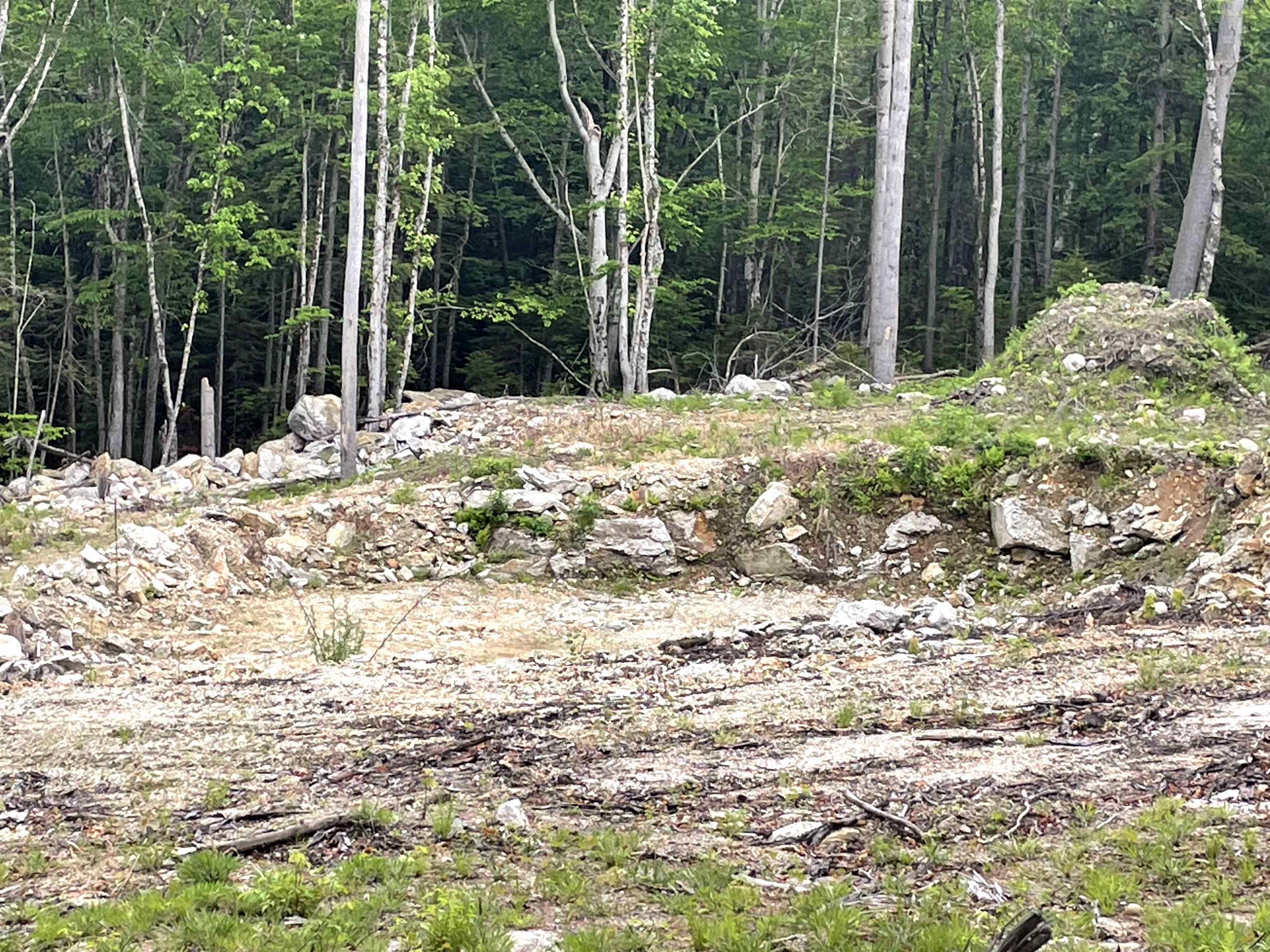 40 Hominy Pot Road Property Photo 1