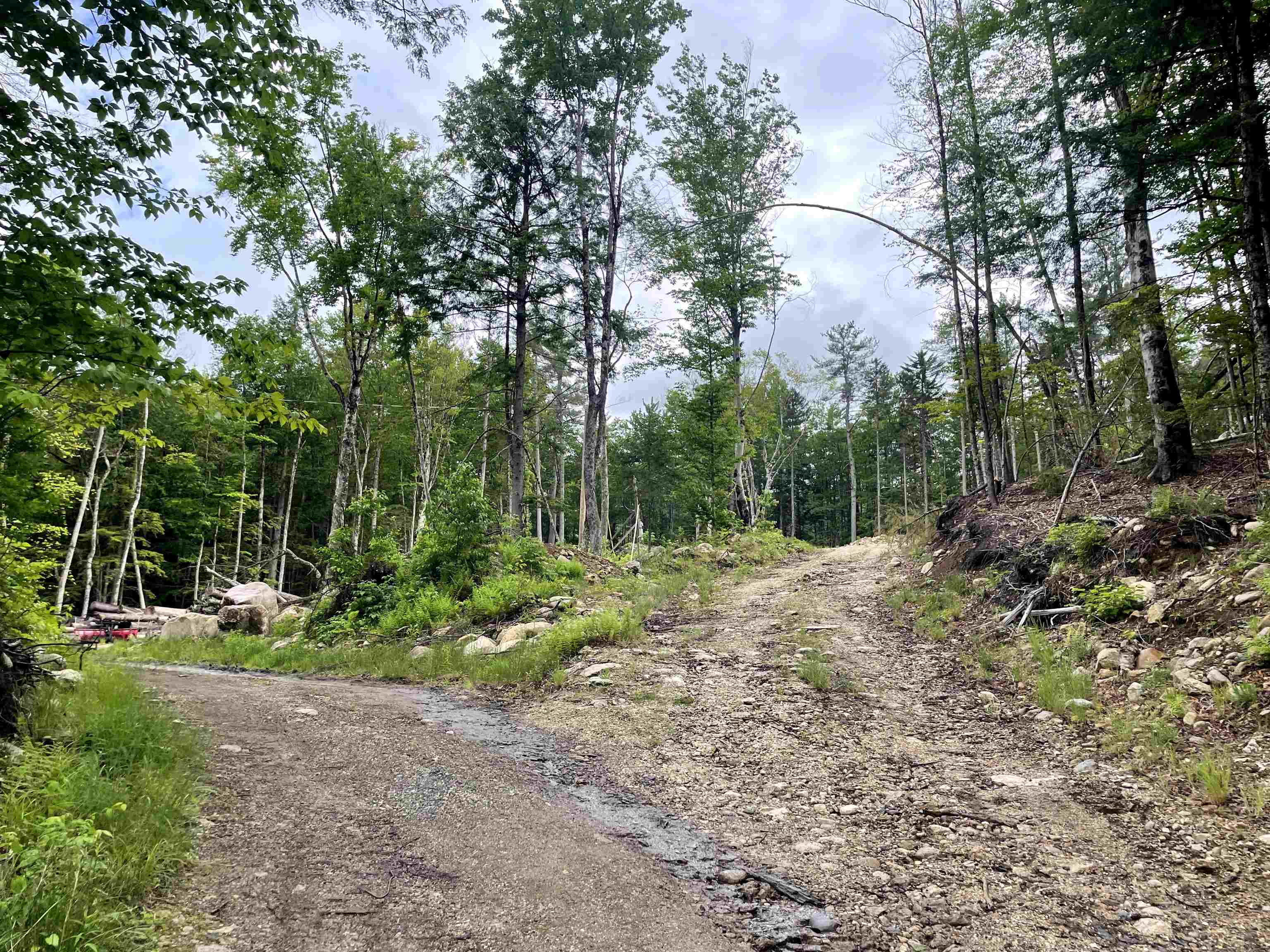 40 Hominy Pot Road Property Photo 3