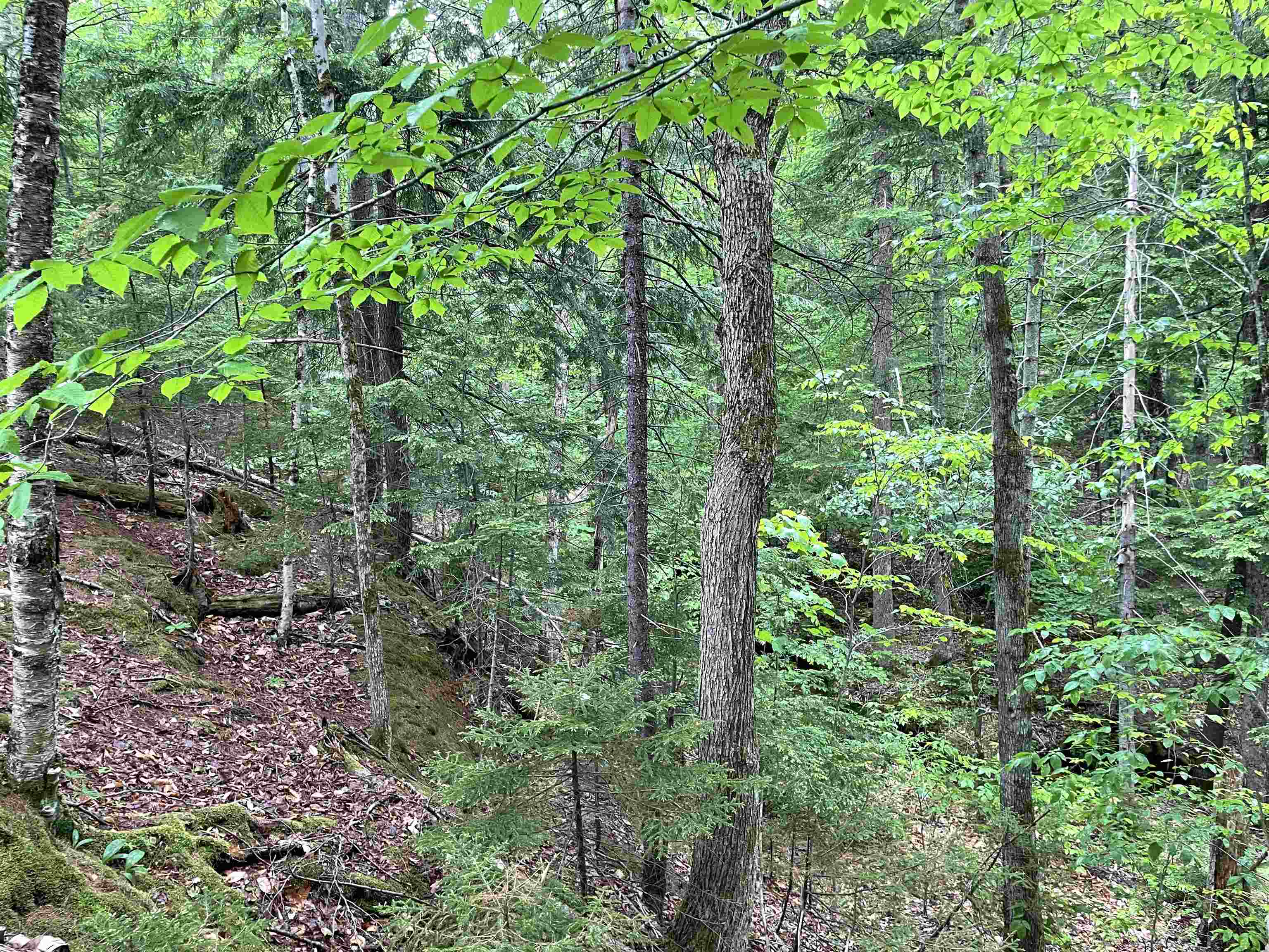 40 Hominy Pot Road Property Photo 9