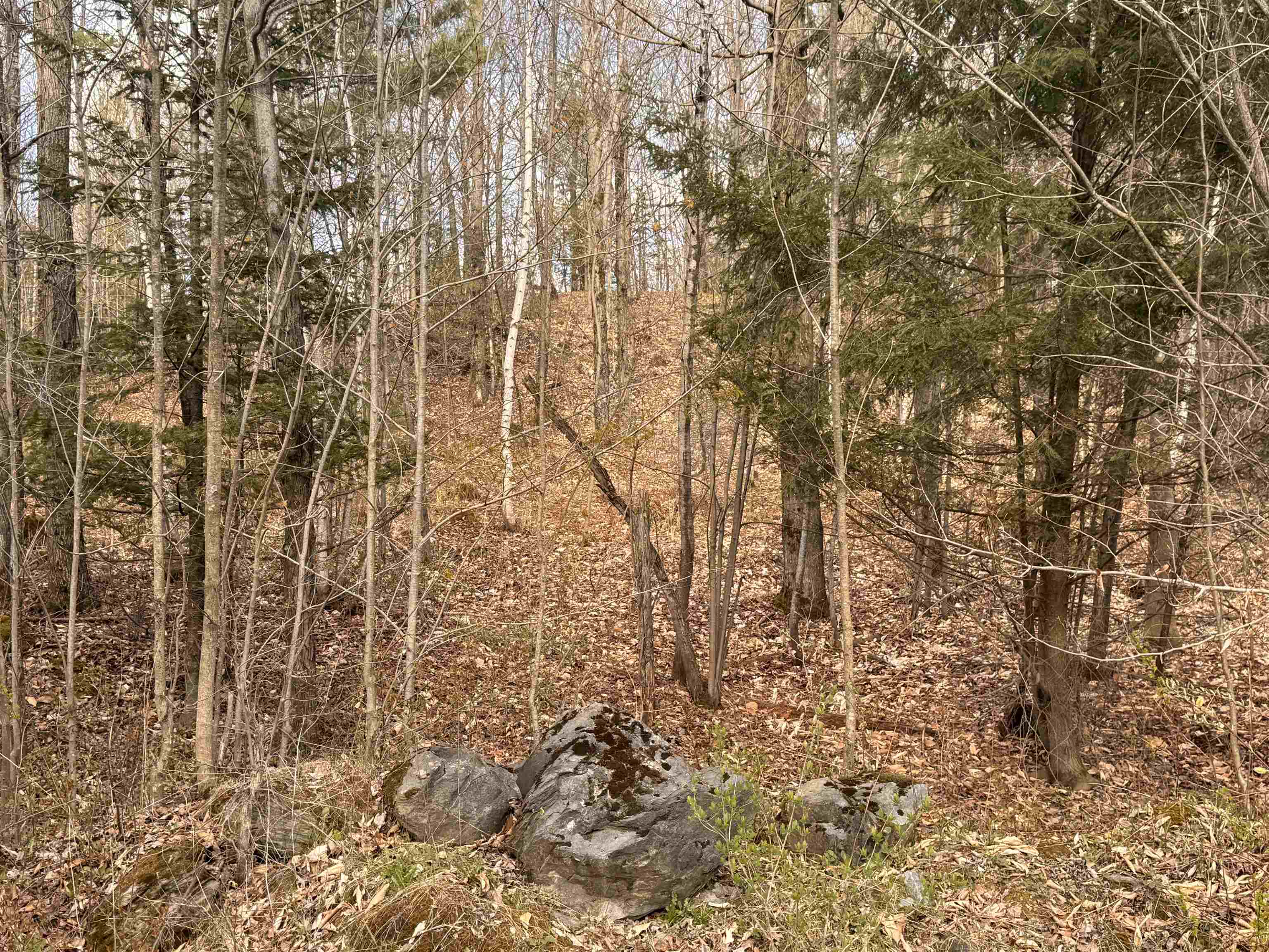 3a Reservoir Road Property Photo 4