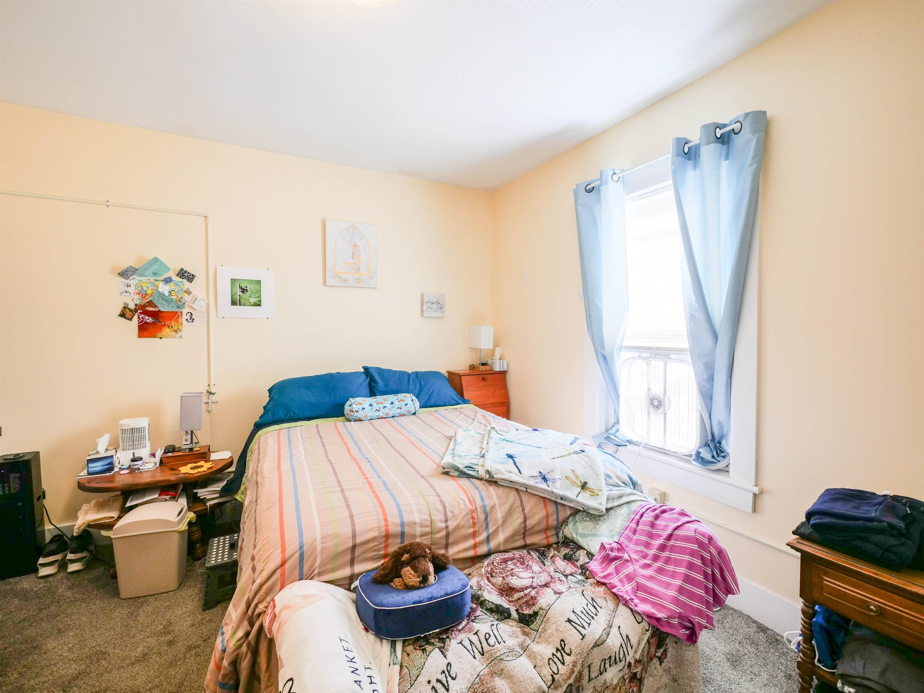 6 Tuttle Street Property Photo 53