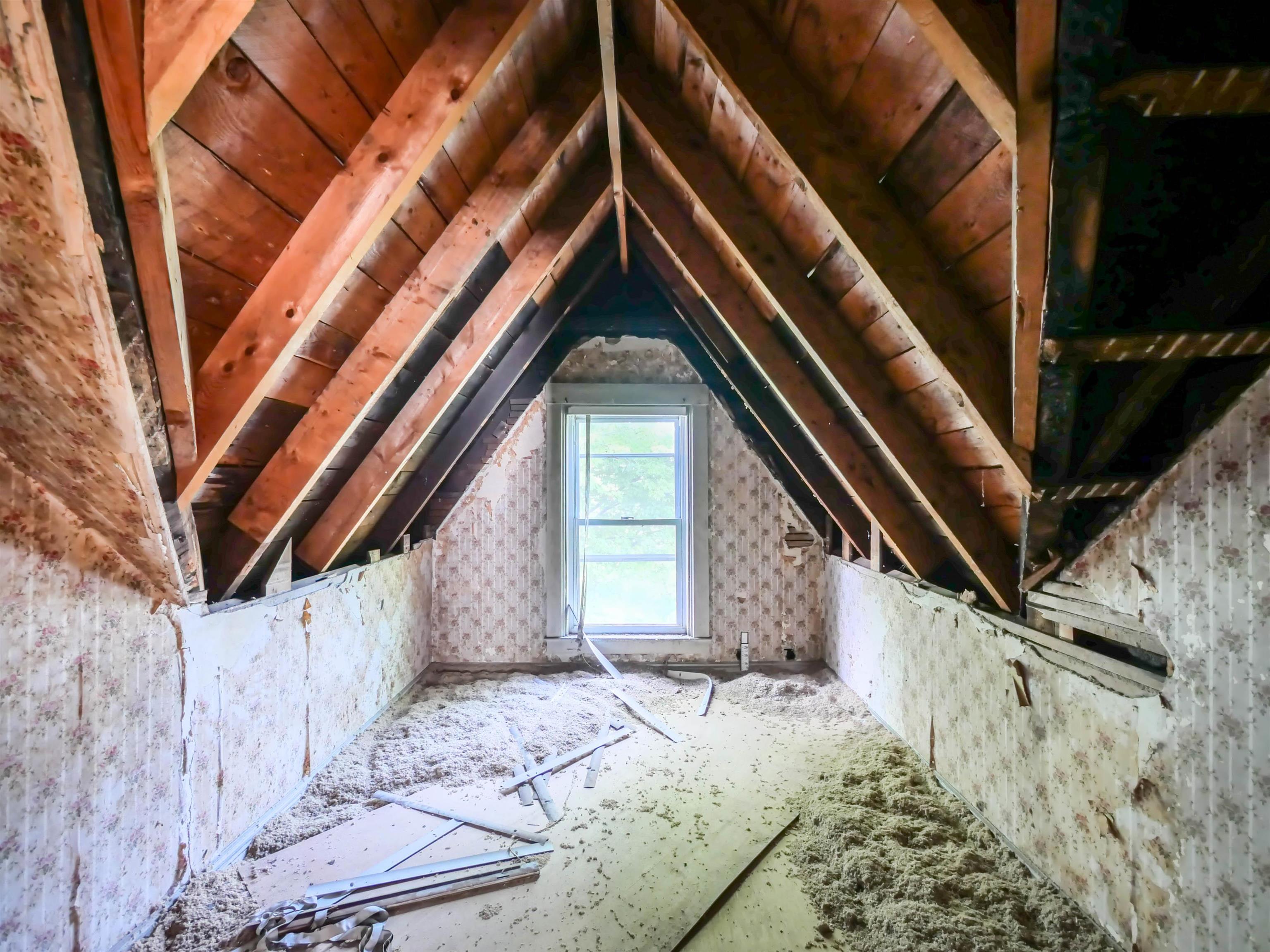 6 Tuttle Street Property Photo 56