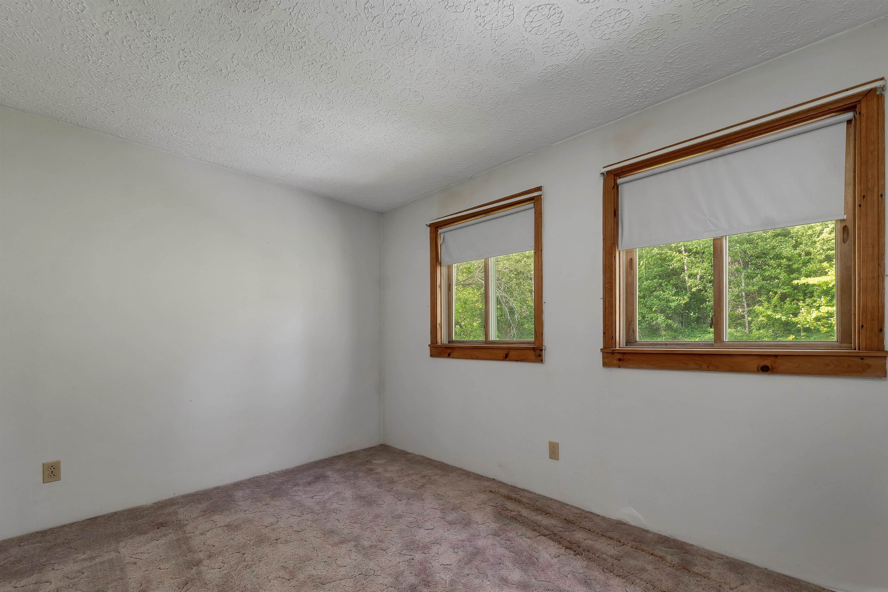 50 Brown Street Property Photo 20