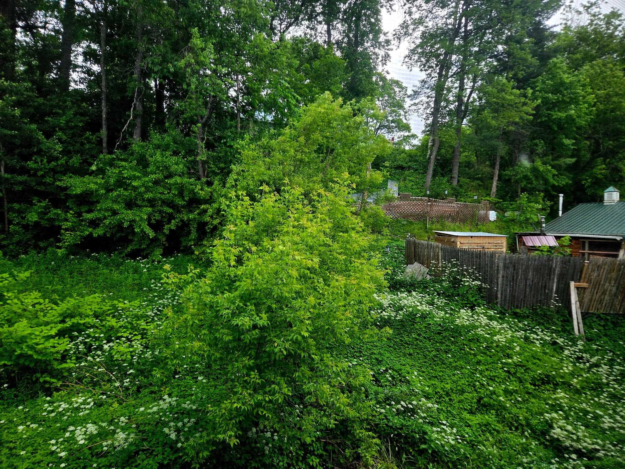 50 Brown Street Property Photo 33