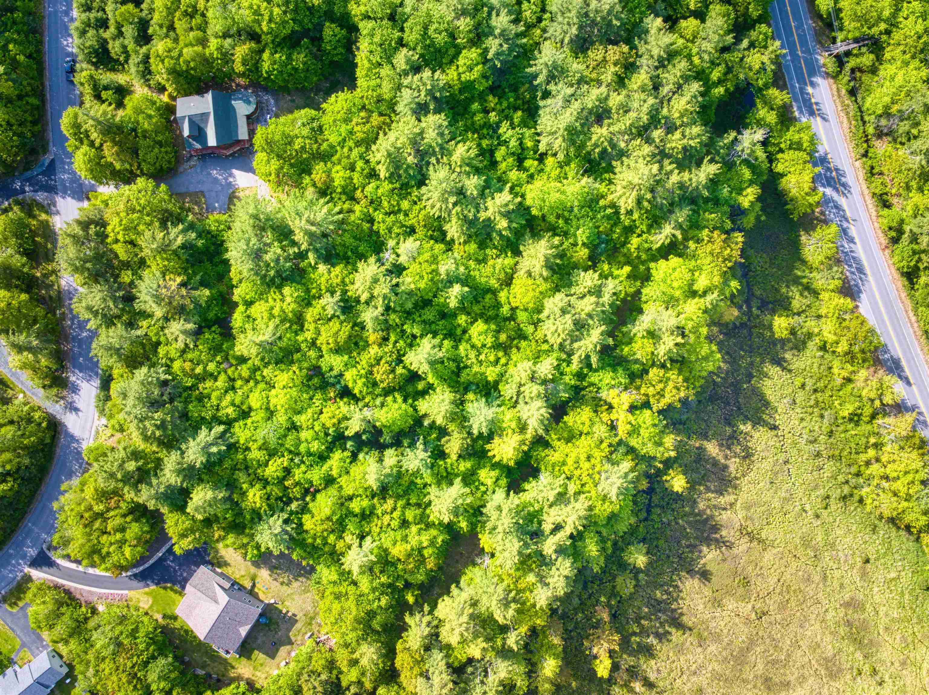 Jeffrey Drive Property Photo 2