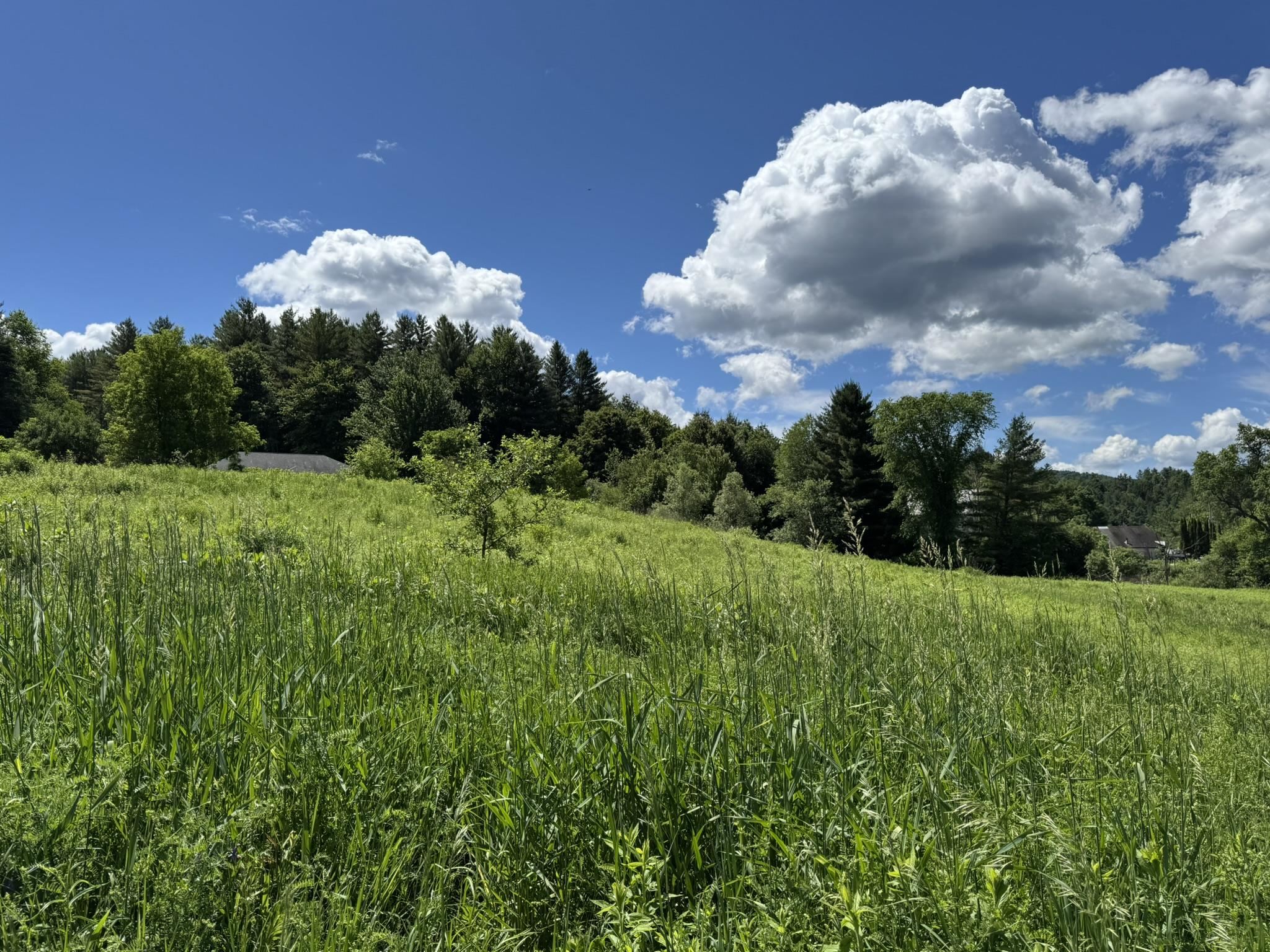 0 Old Farm Road Property Photo 1