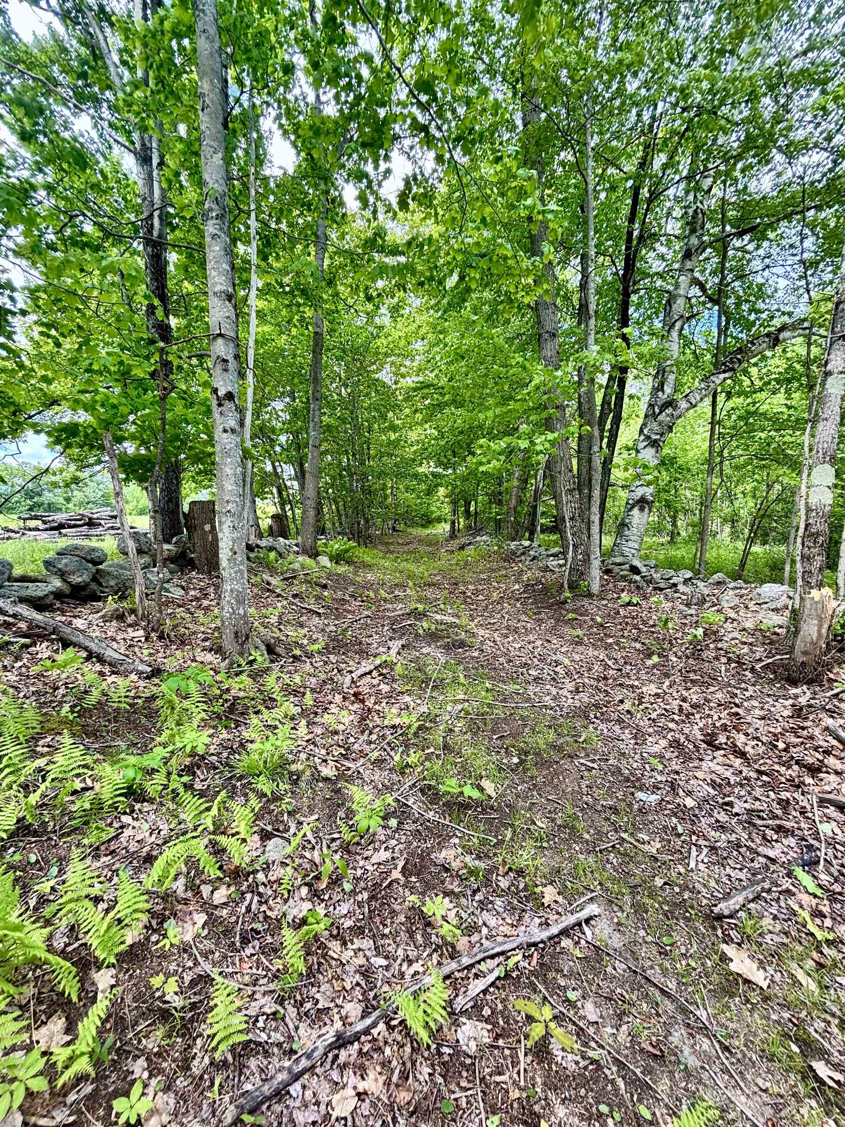 182 Perry Road Property Photo 43