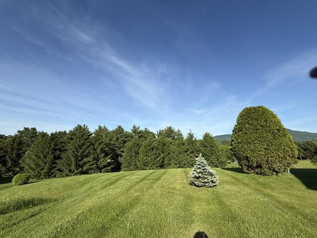 97 Jersey Court Property Photo 6