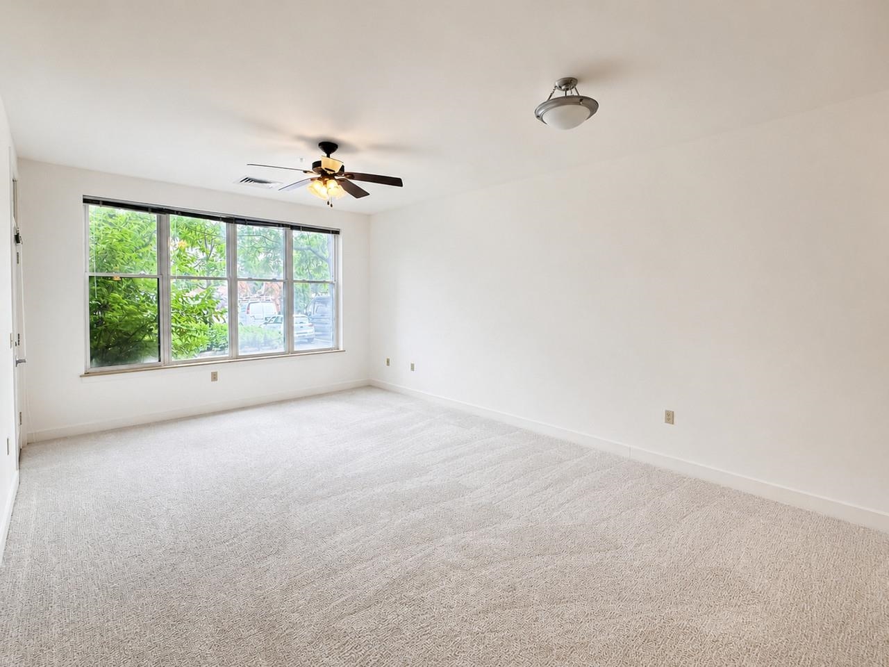 370 Farrell Street Property Photo 6