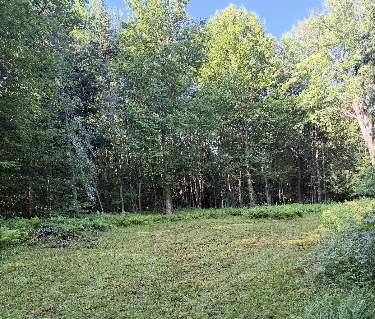 0 Roaring Brook Road Property Photo 1