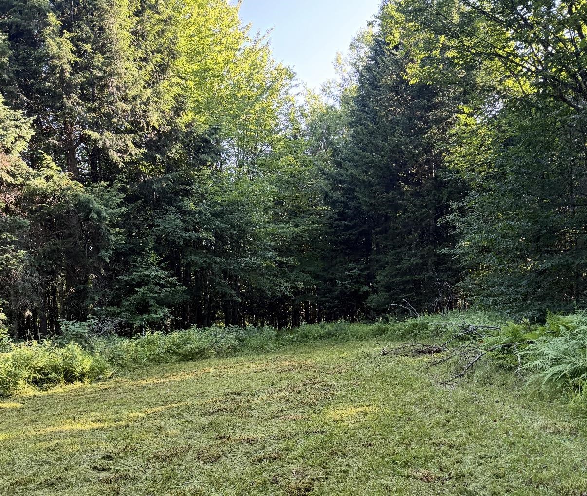 0 Roaring Brook Road Property Photo 2