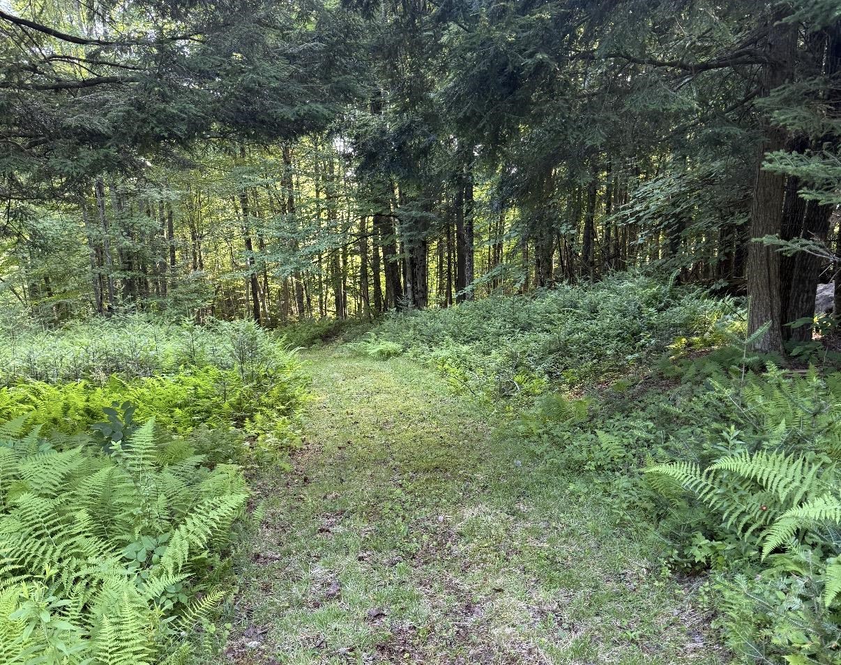 0 Roaring Brook Road Property Photo 3