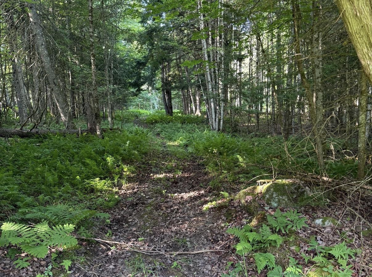 0 Roaring Brook Road Property Photo 8