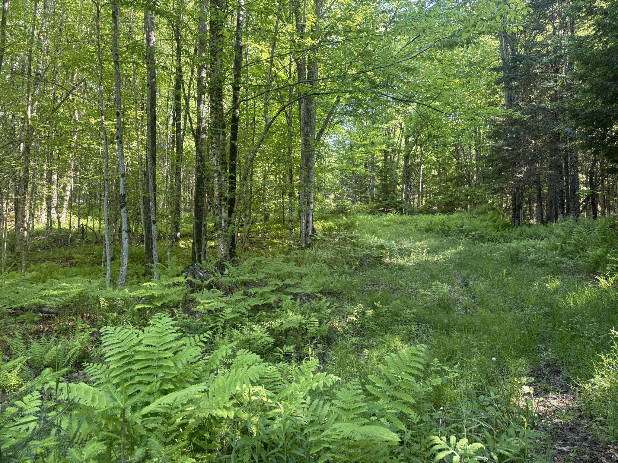0 Roaring Brook Road Property Photo 10