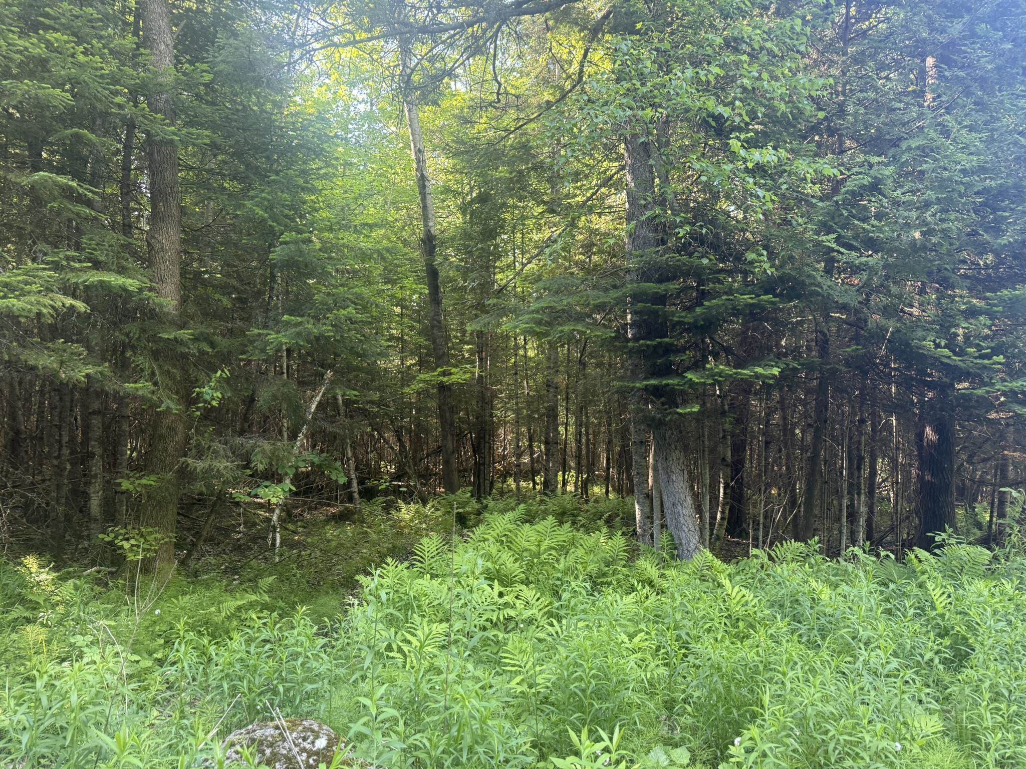 0 Roaring Brook Road Property Photo 11