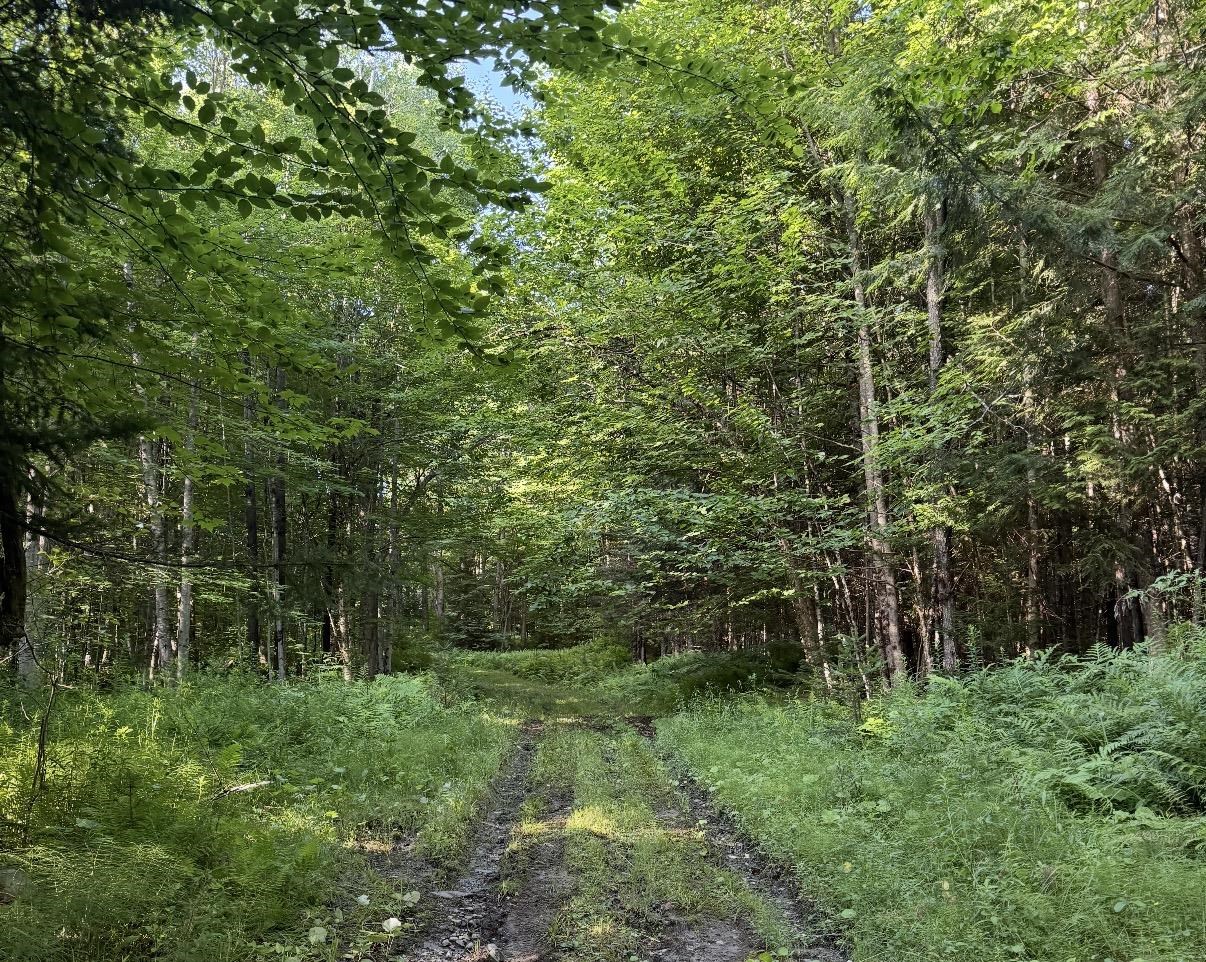 0 Roaring Brook Road Property Photo 12