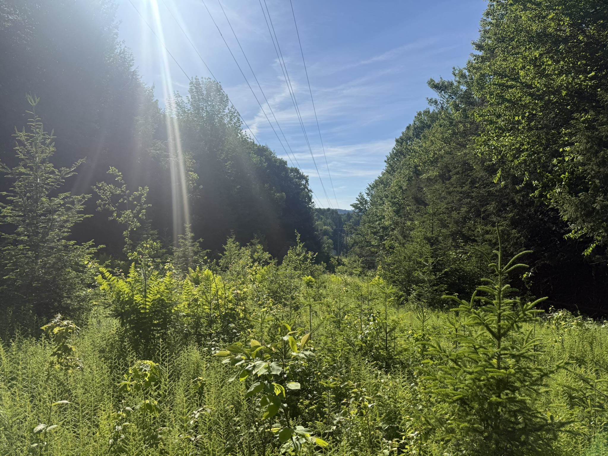 0 Roaring Brook Road Property Photo 14
