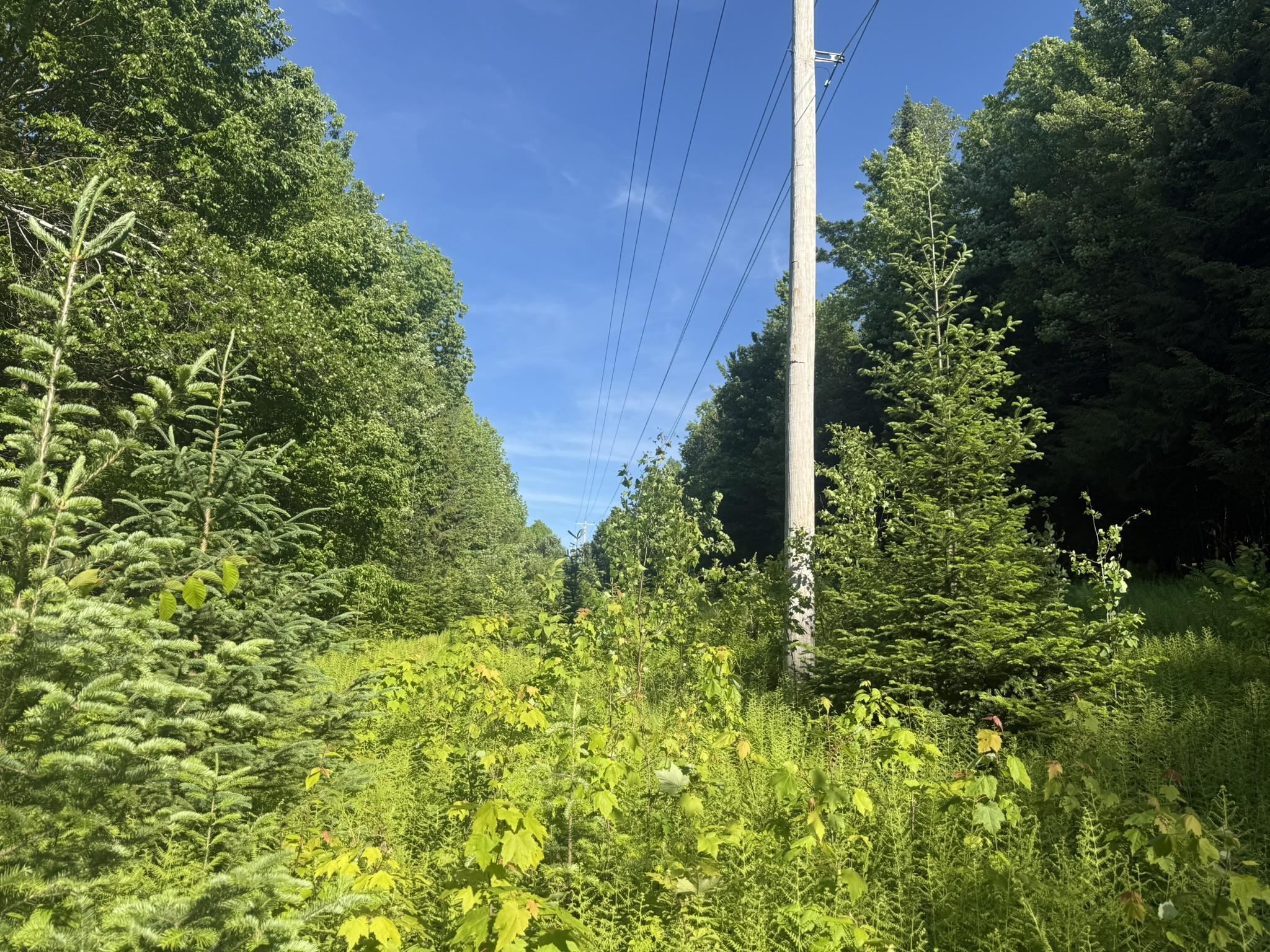 0 Roaring Brook Road Property Photo 15